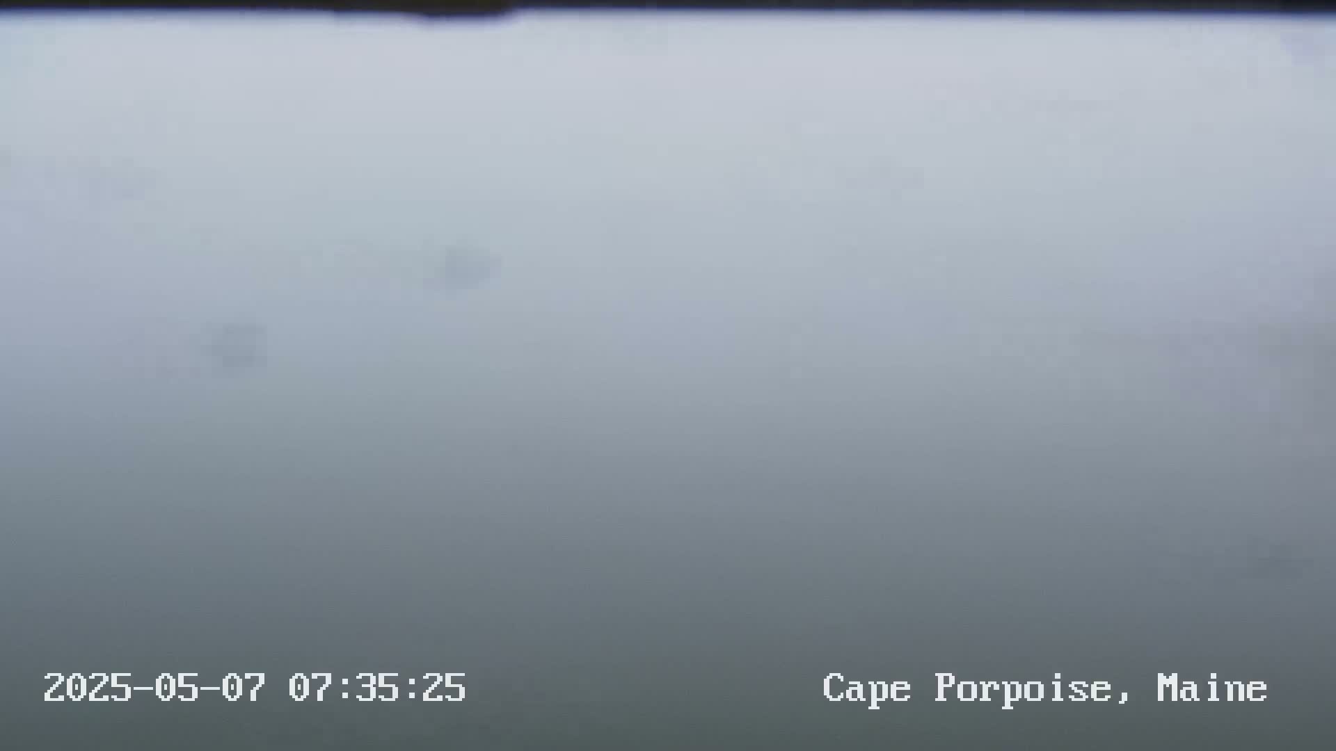 A very foggy, gray outdoor scene is visible.