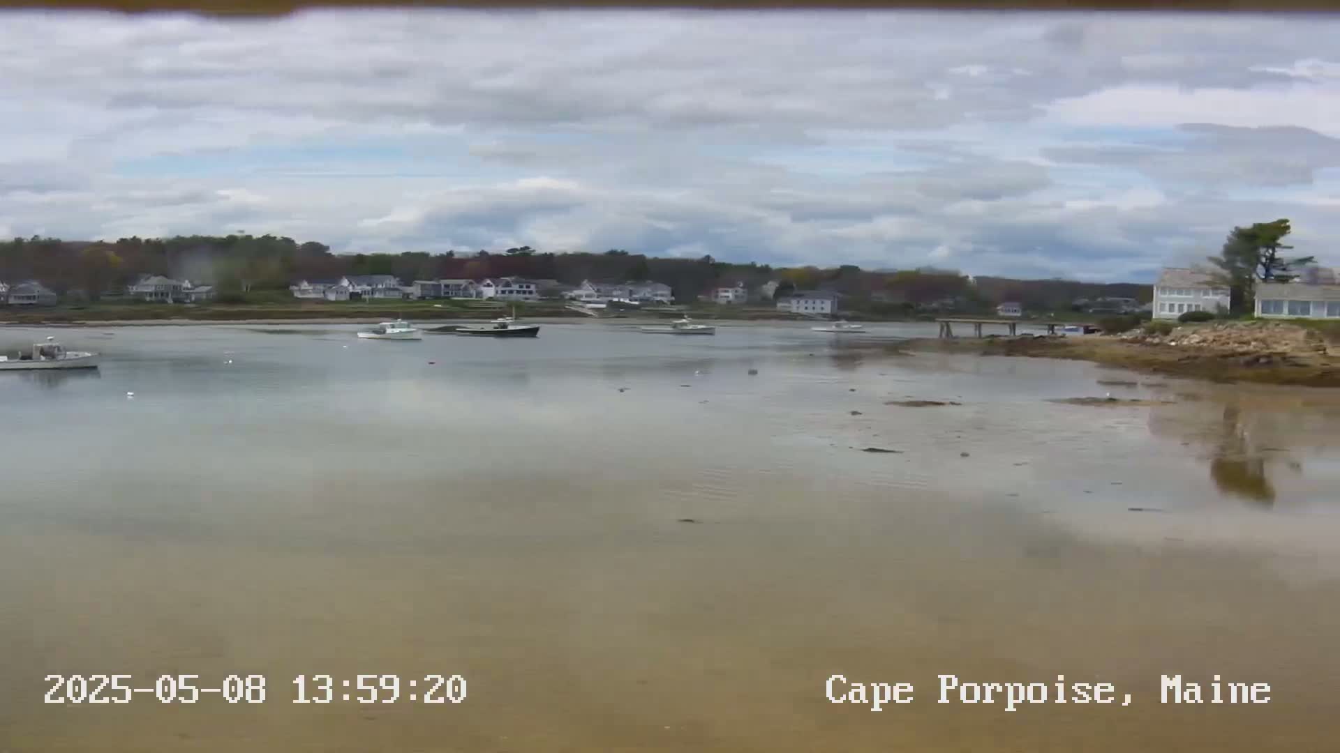 Several boats are moored in a calm, shallow, brown-tinged body of water near a shoreline with houses and trees under a cloudy sky.
