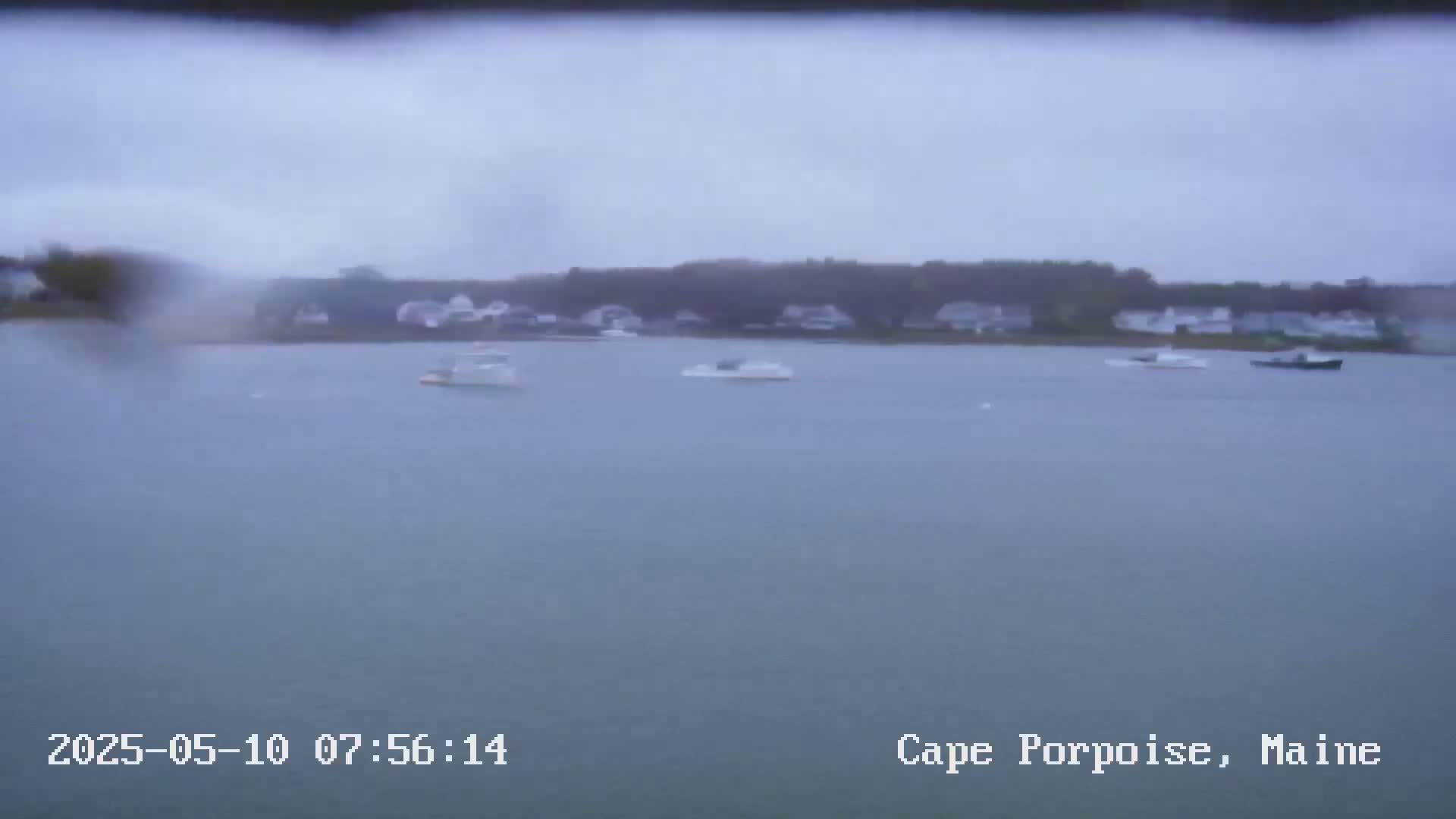 A view of a calm body of water with several boats and a shoreline of houses and trees under an overcast sky, possibly raining.