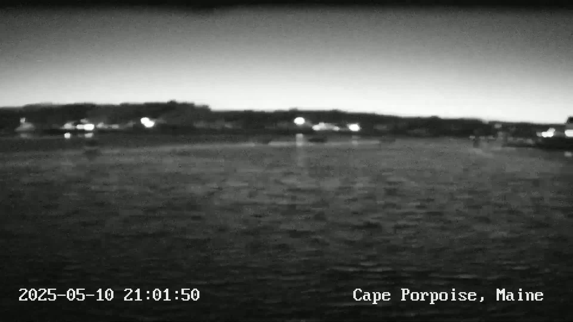 A nighttime, blurry black and white image shows a dark body of water in front of a dimly lit shoreline.