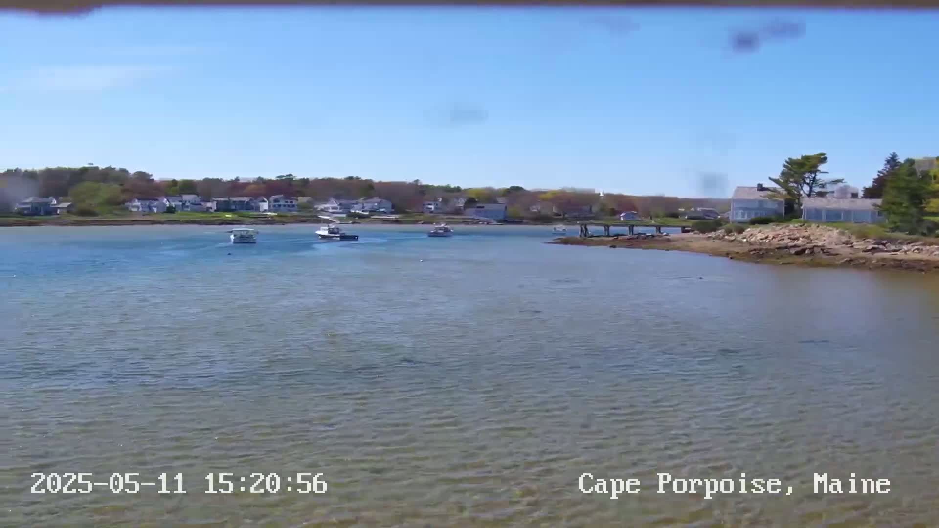 Several small boats are visible on a calm body of water, with houses and trees lining the shore under a clear blue sky.