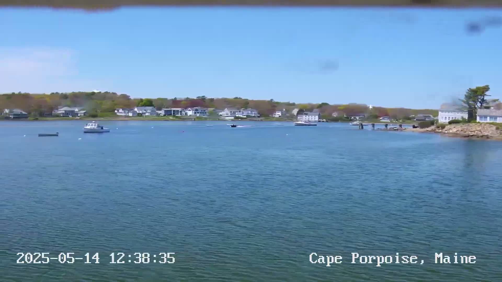 A calm, sunny day shows a body of water with several small boats, and houses lining a tree-covered shore in the distance.