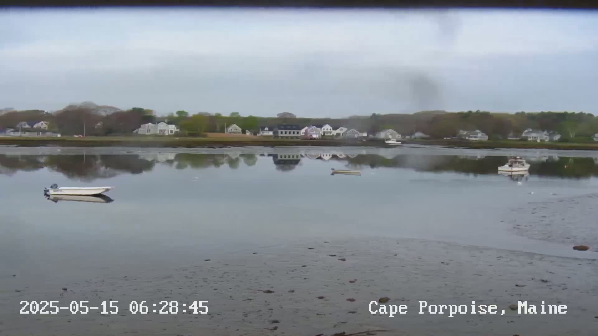 Calm water reflects houses on a tree-lined shore under an overcast sky.