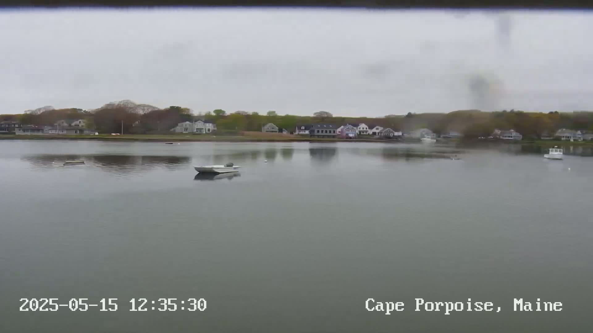 A calm, overcast day shows a few small boats on a body of water in front of a line of houses nestled among trees.