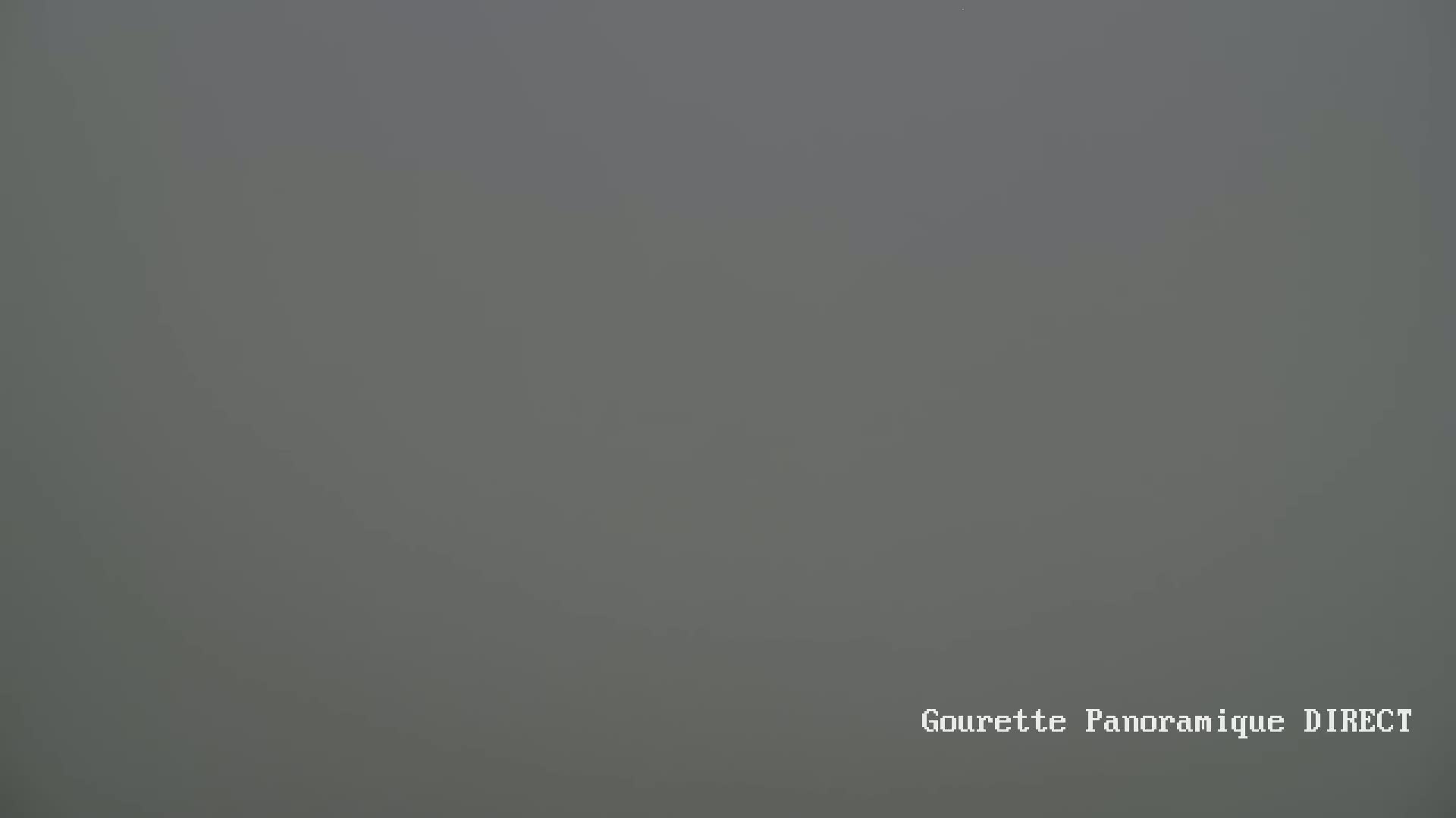 A solid gray expanse of fog obscures the view.