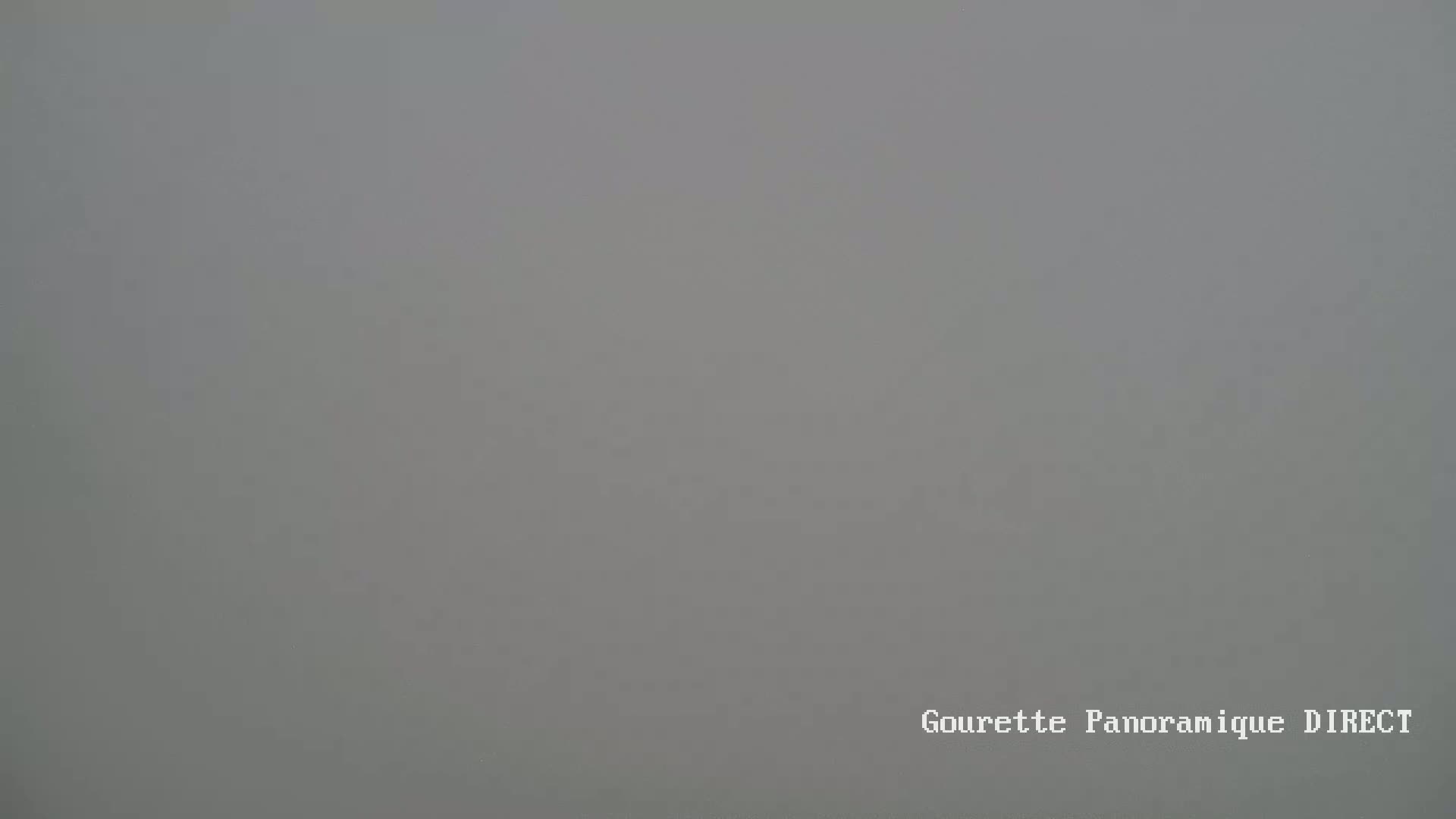 A uniformly gray, foggy scene is shown.