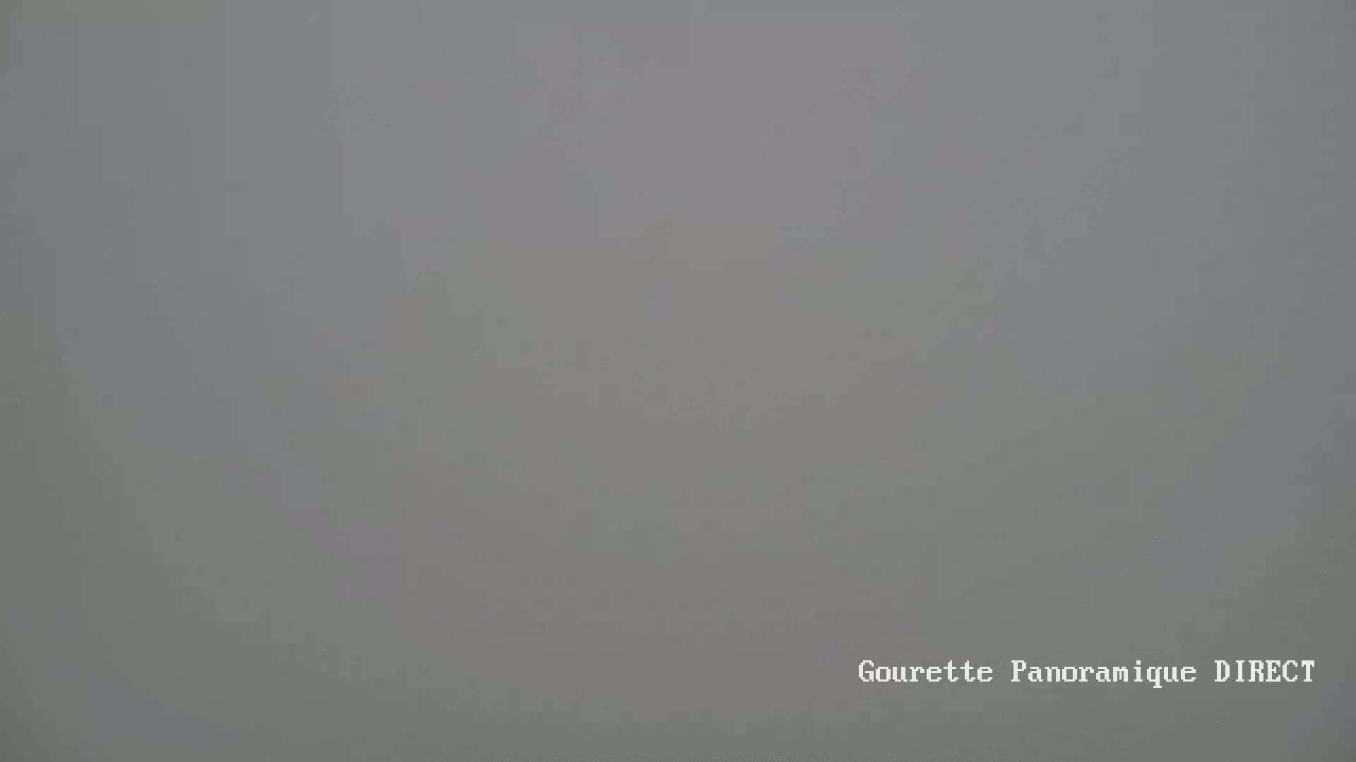 A uniformly gray, foggy scene is visible.