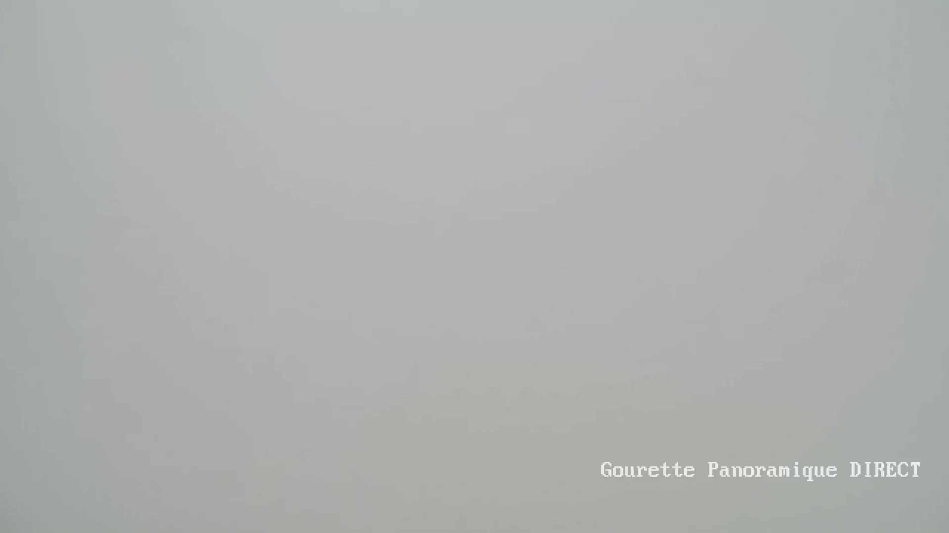 A solid, light gray background is shown, appearing to be a foggy or overcast outdoor scene.