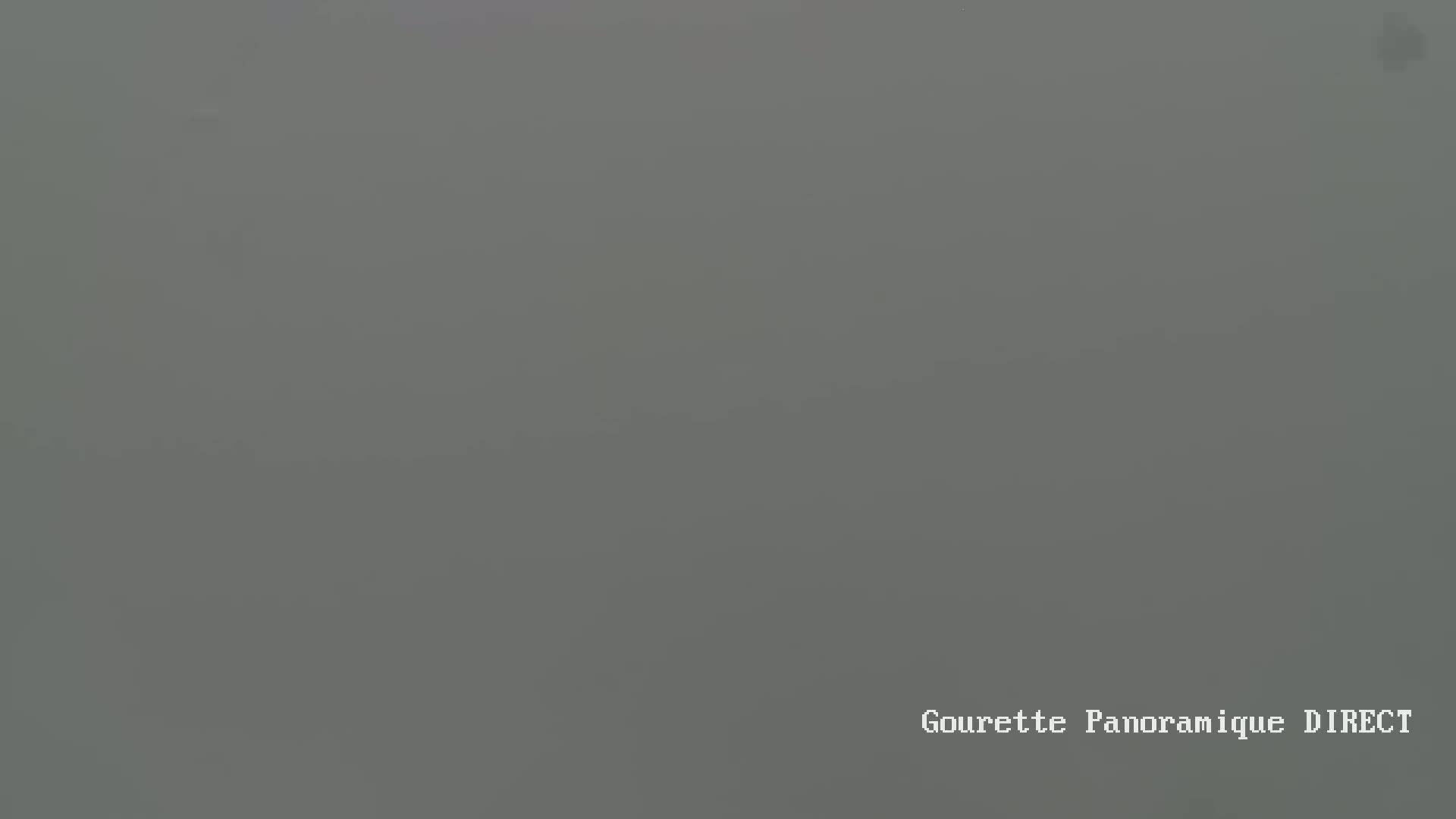 A foggy, gray landscape is visible.