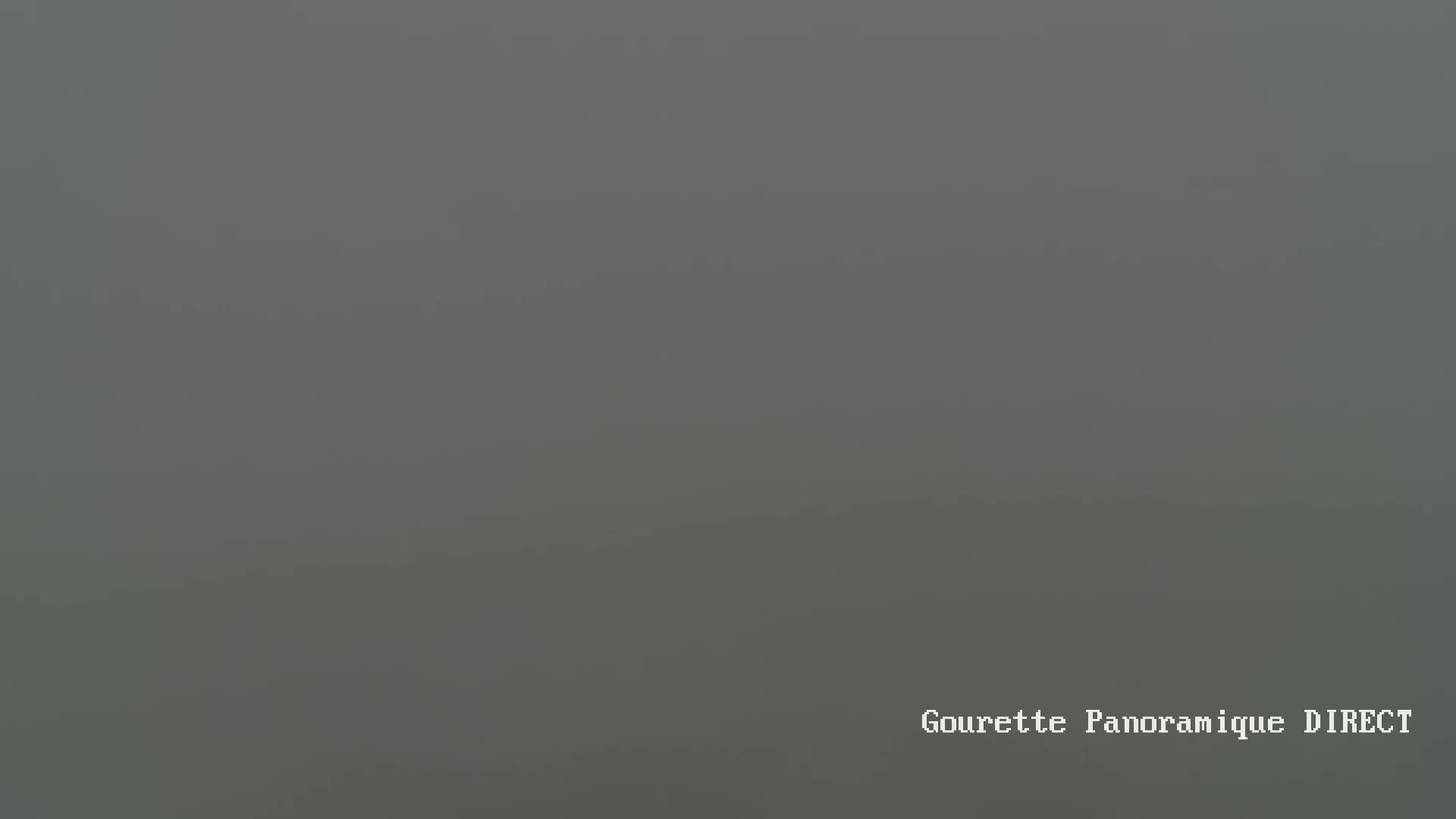 A uniformly gray, foggy scene is visible.
