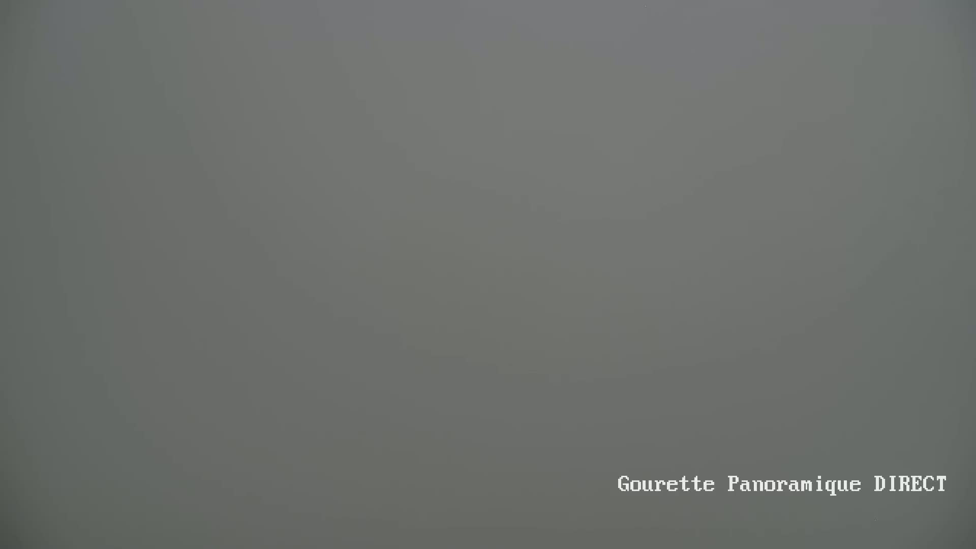 A solid, muted gray fills the entire image, suggesting a very foggy or hazy outdoor scene.
