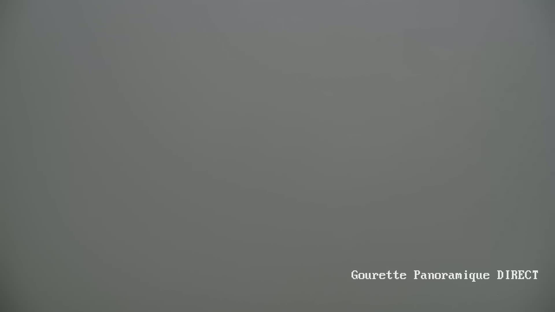 A uniformly gray, foggy scene is visible.