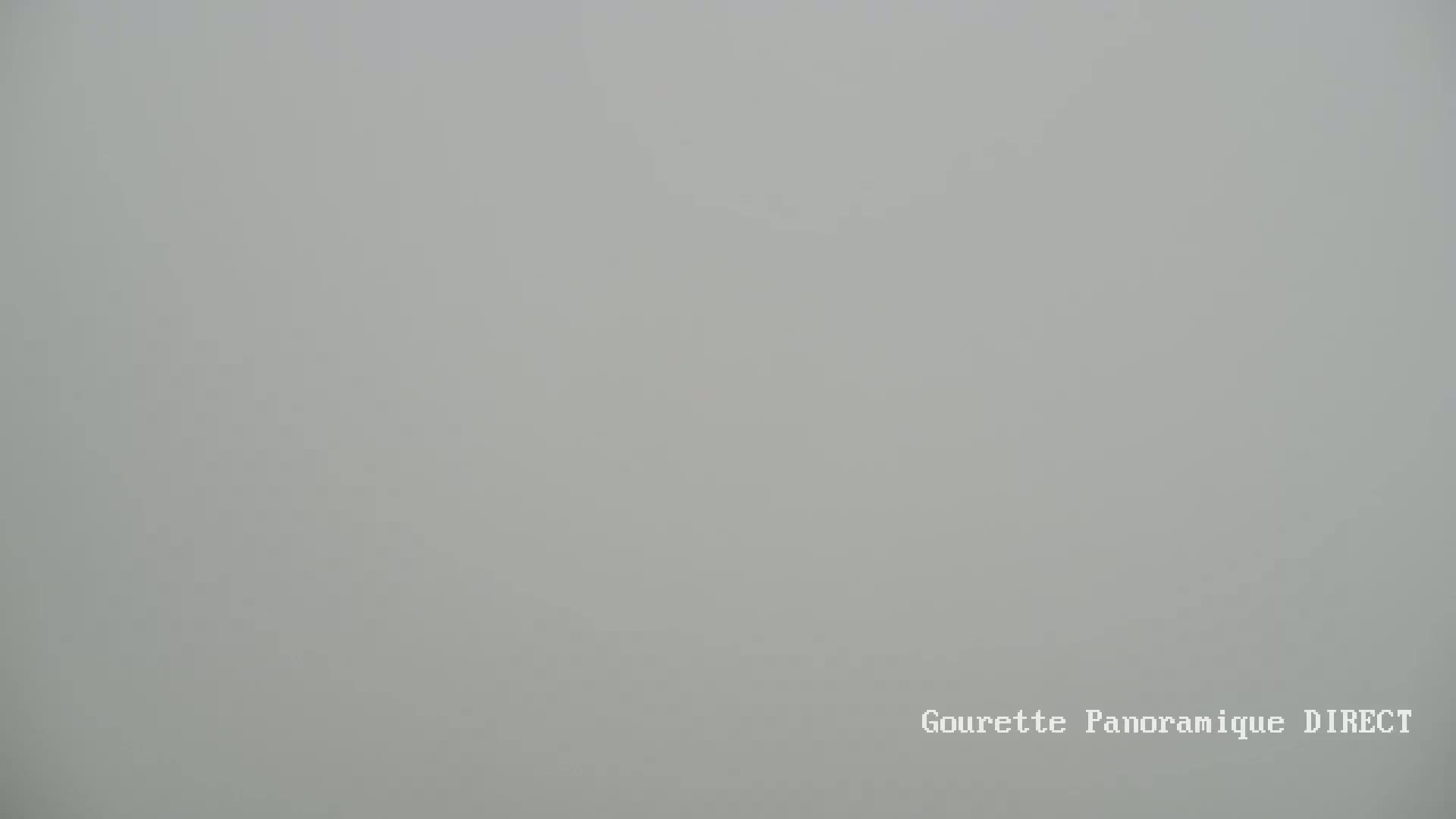 A solid, light gray background is visible in foggy conditions.