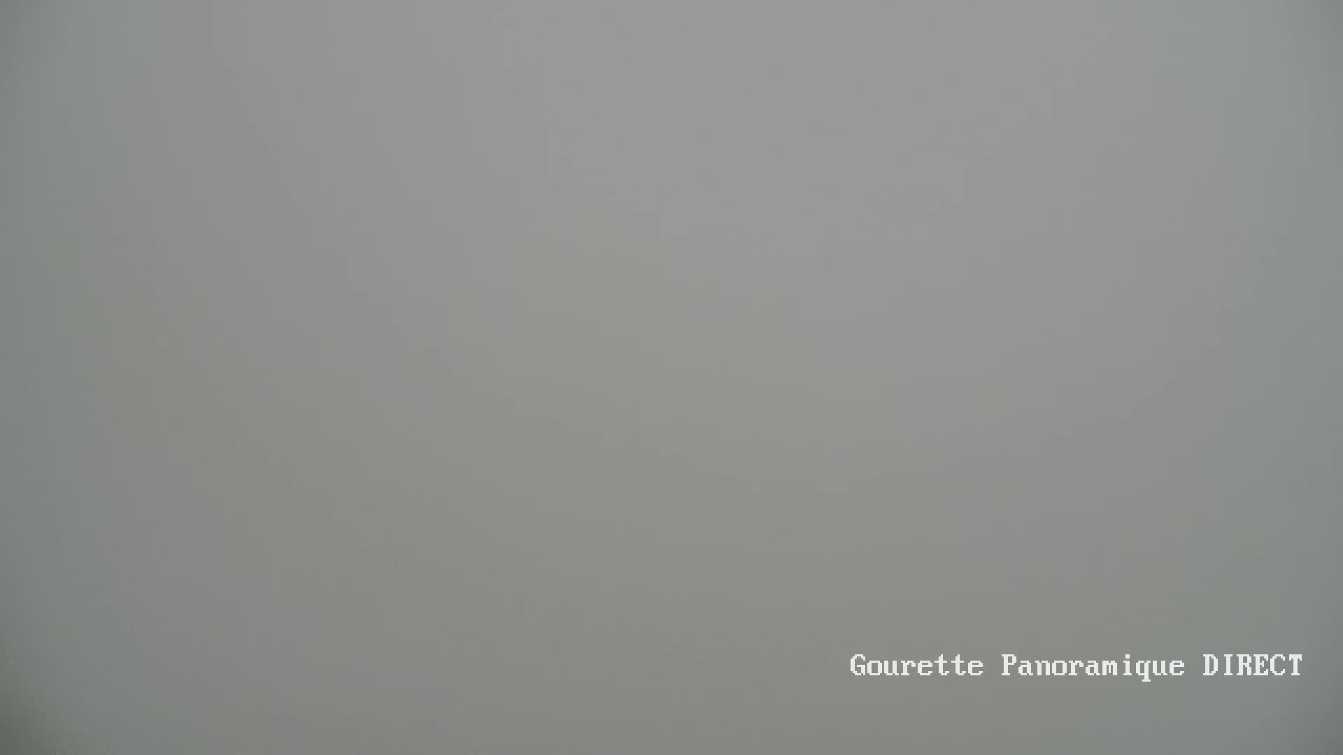 A uniformly gray, foggy scene is visible.