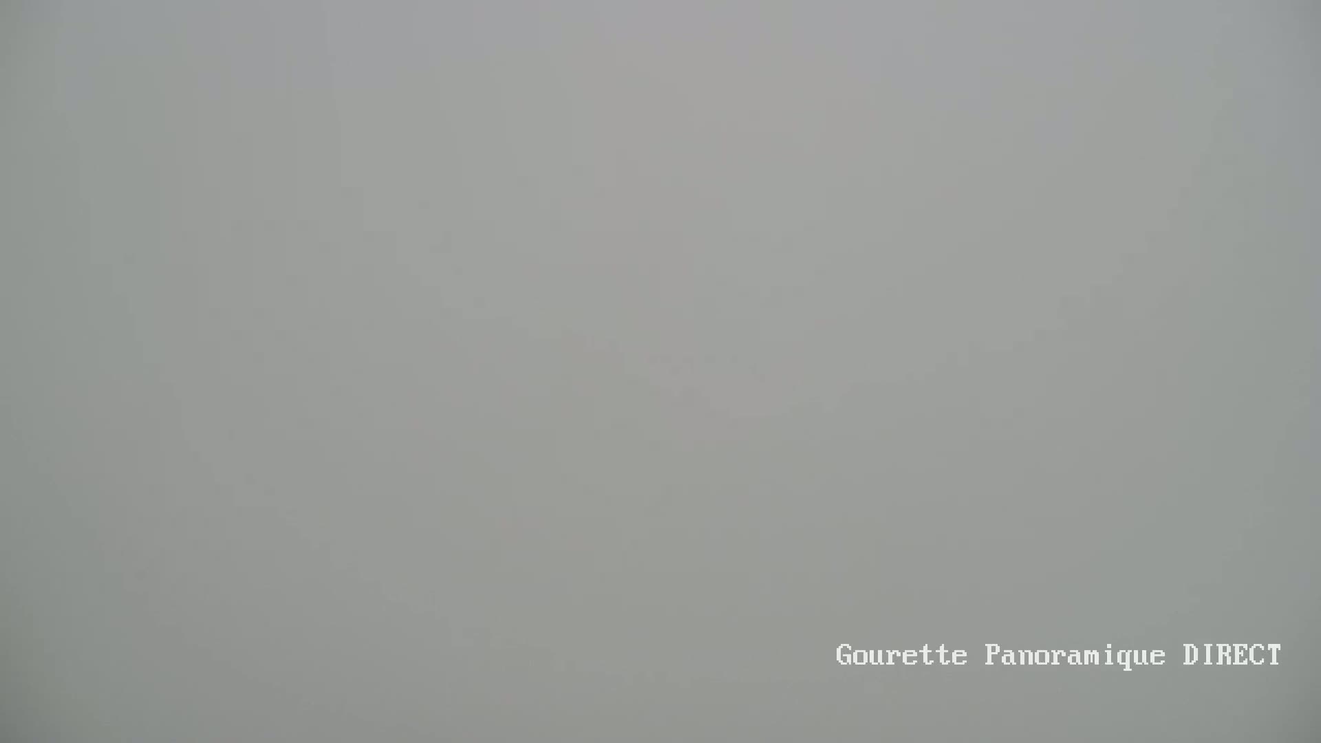 A solid expanse of thick fog obscures the view.