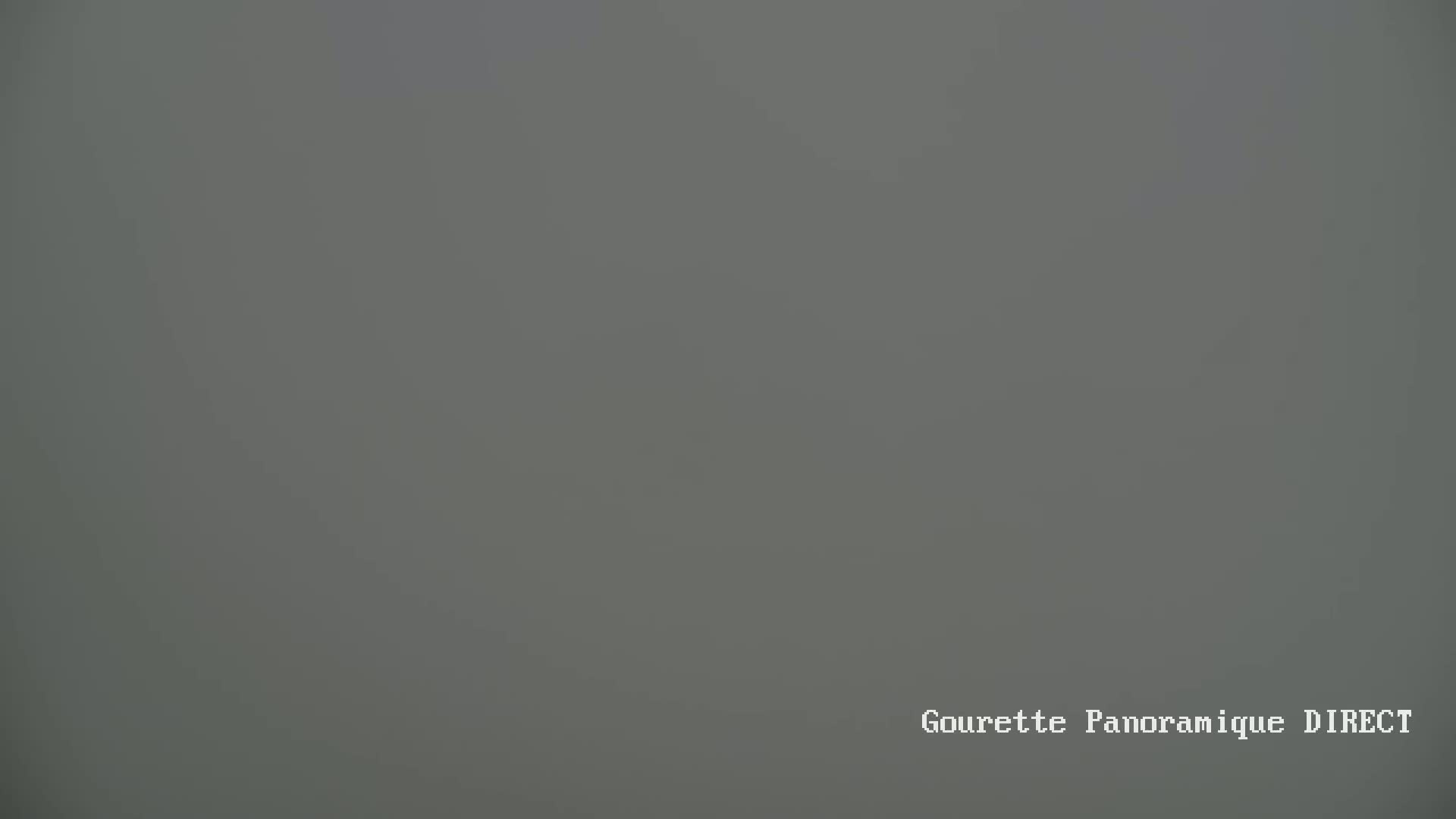 A uniformly gray, foggy scene is visible.