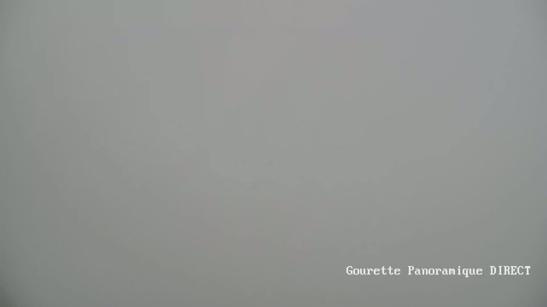 A uniformly gray, foggy scene is visible.