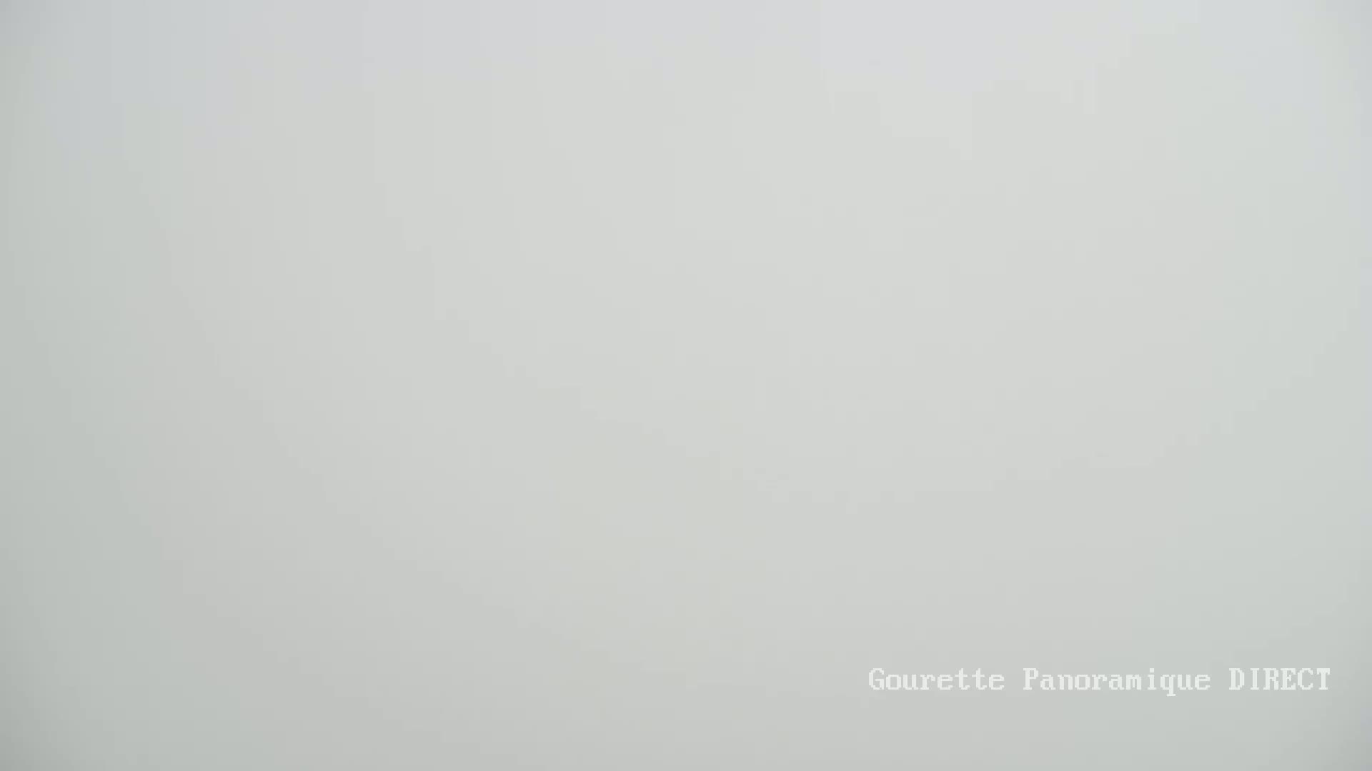 A uniformly light gray, foggy scene is visible.