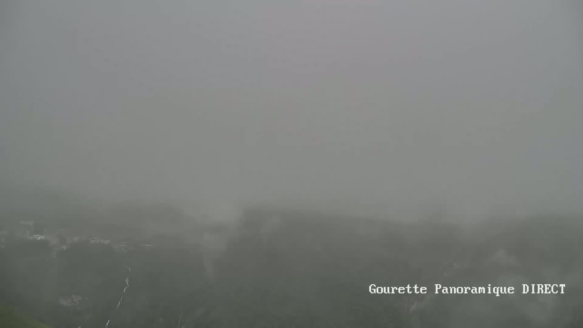 A foggy, overcast landscape shows a distant, indistinct view of trees and possibly buildings.