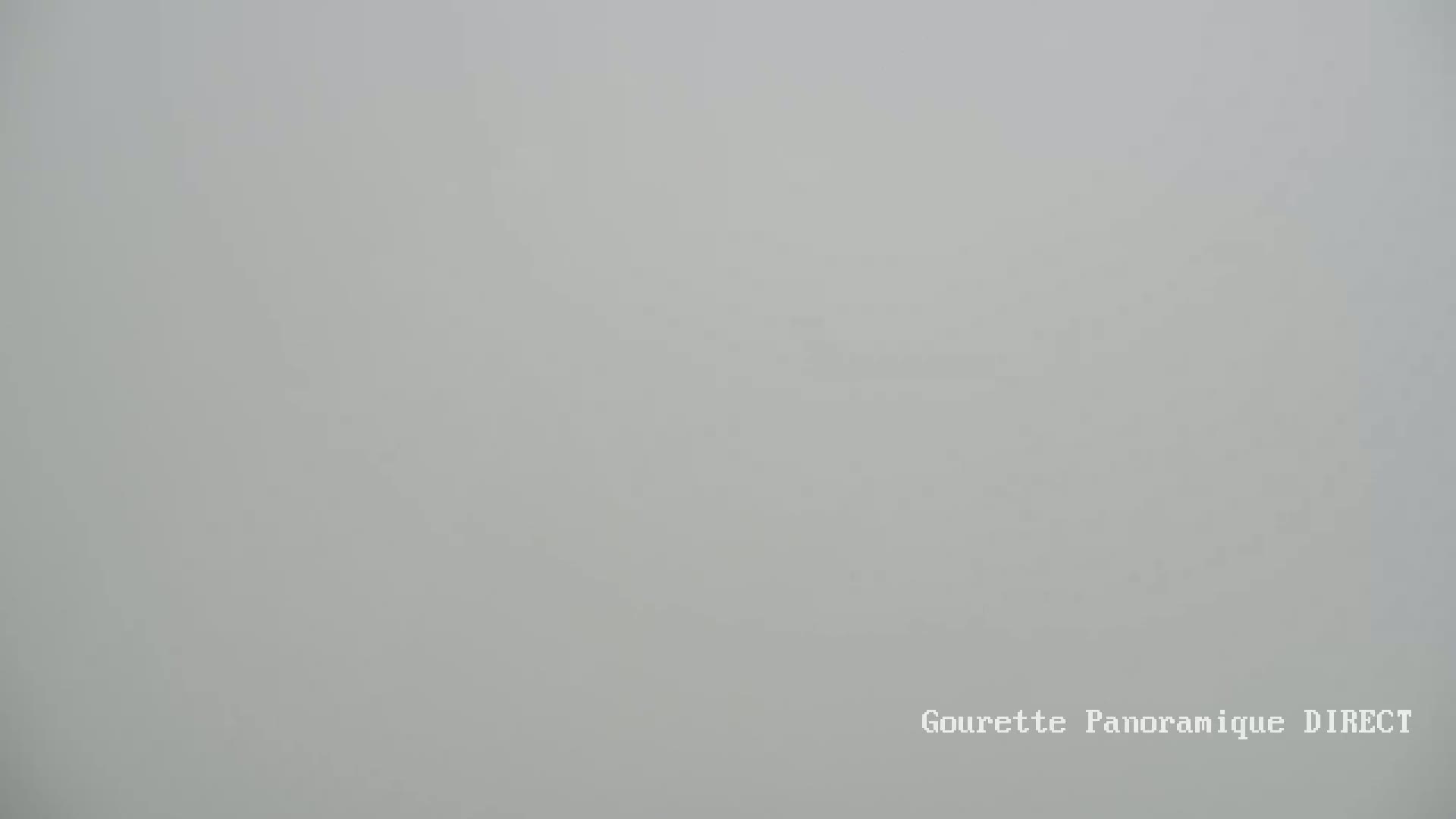 A uniformly light gray, foggy scene is visible.