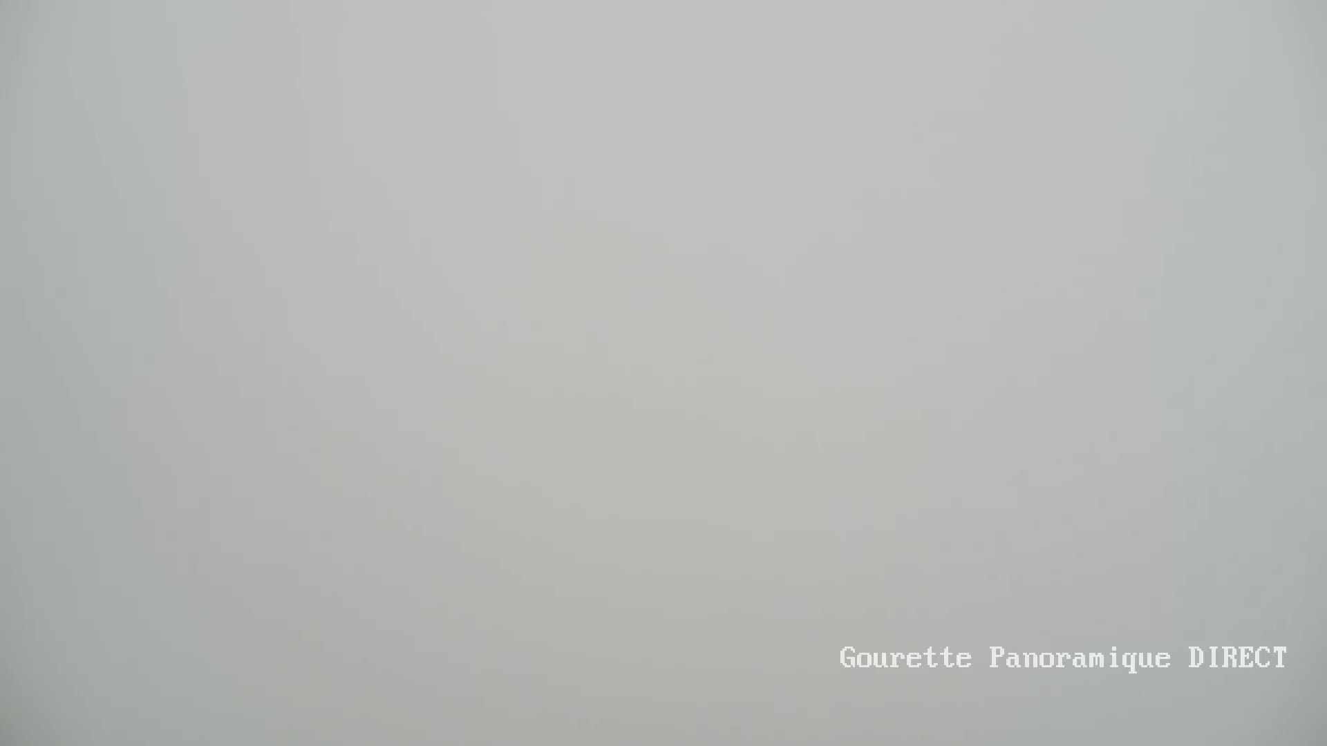 A solid, light gray field is visible, appearing to be covered in fog or mist.