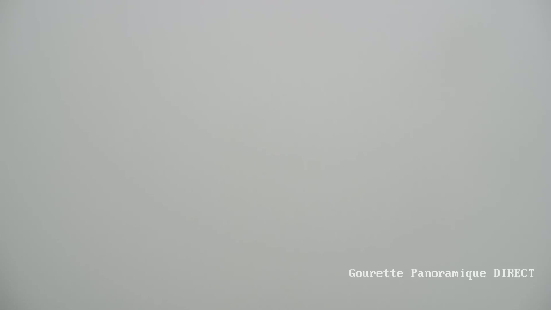 A uniformly light gray background is shown, suggesting a foggy or hazy outdoor scene.