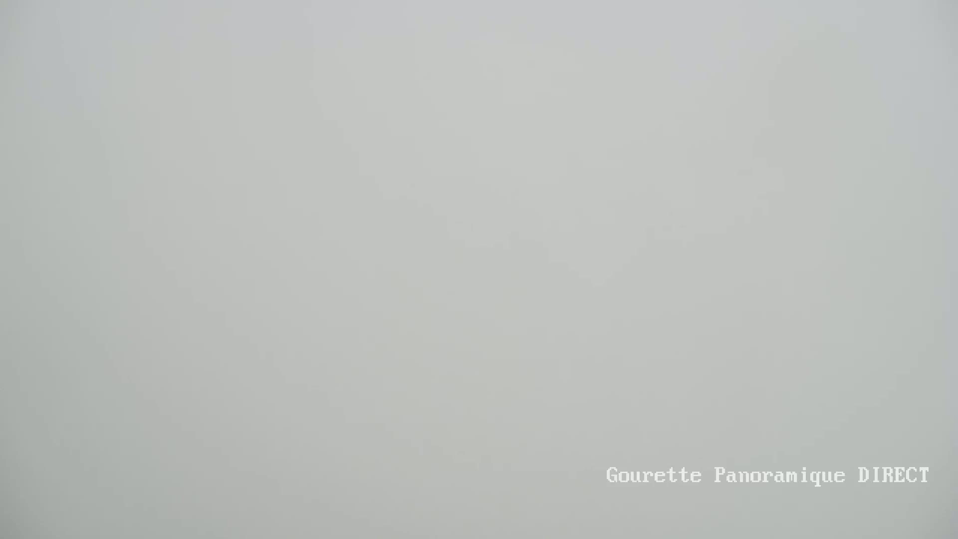 A solid, light gray background is shown, appearing to be a foggy or overcast outdoor scene.