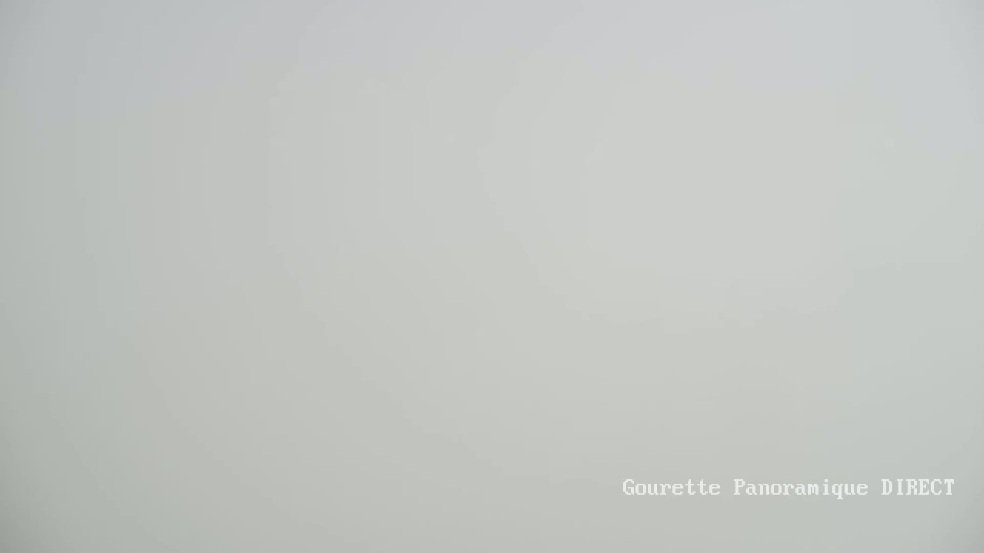 The image shows a solid, light gray background under foggy conditions.
