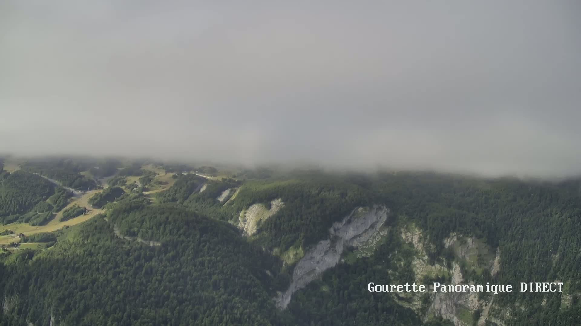 A foggy, high-angle view shows a vast, mountainous landscape covered in lush green forests with patches of lighter colored, possibly grassy areas.
