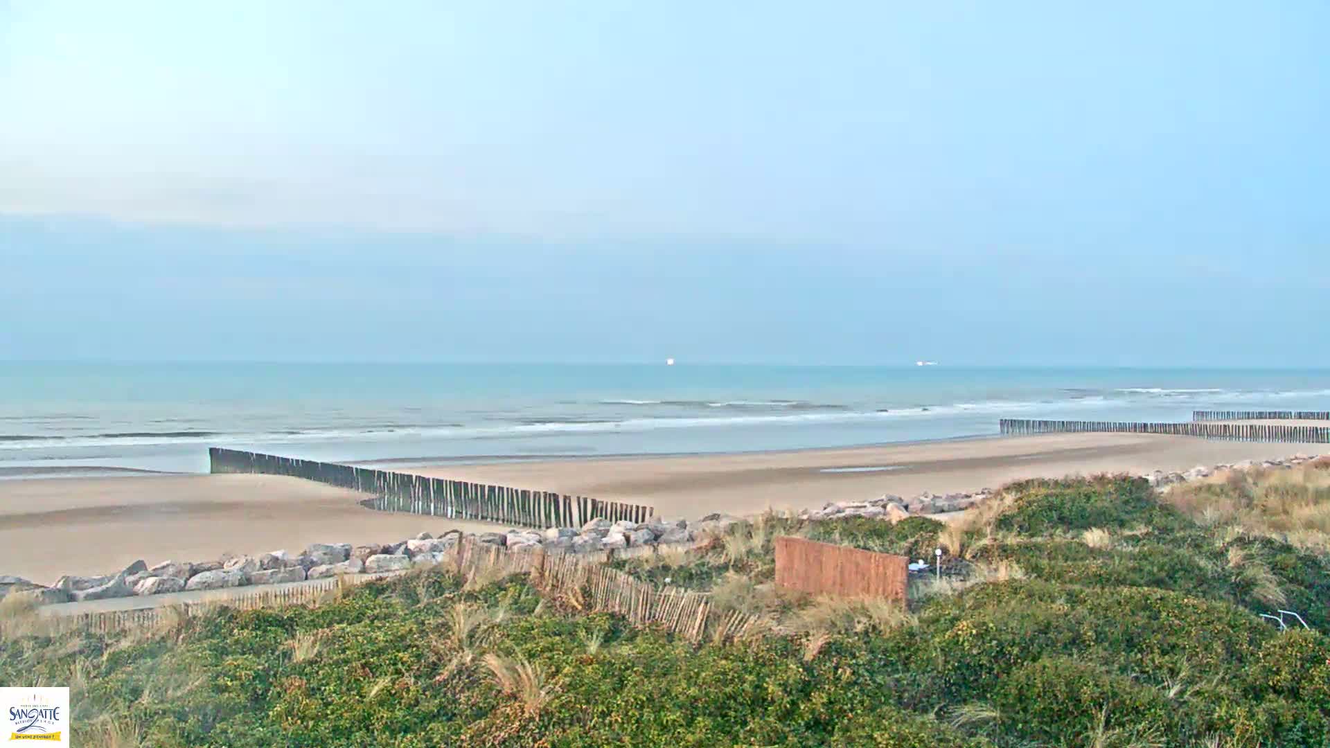 A sandy beach with gentle waves and a calm ocean under a clear, light-blue sky is partially protected by a series of wooden posts and rock barriers, viewed from behind a line of low-lying vegetation.