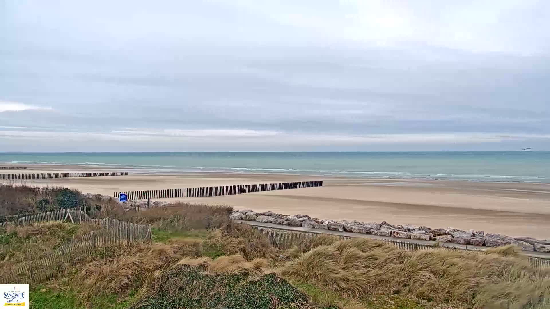 A wide sandy beach with a calm teal sea under a cloudy sky is viewed from behind a dune covered in tall grasses.