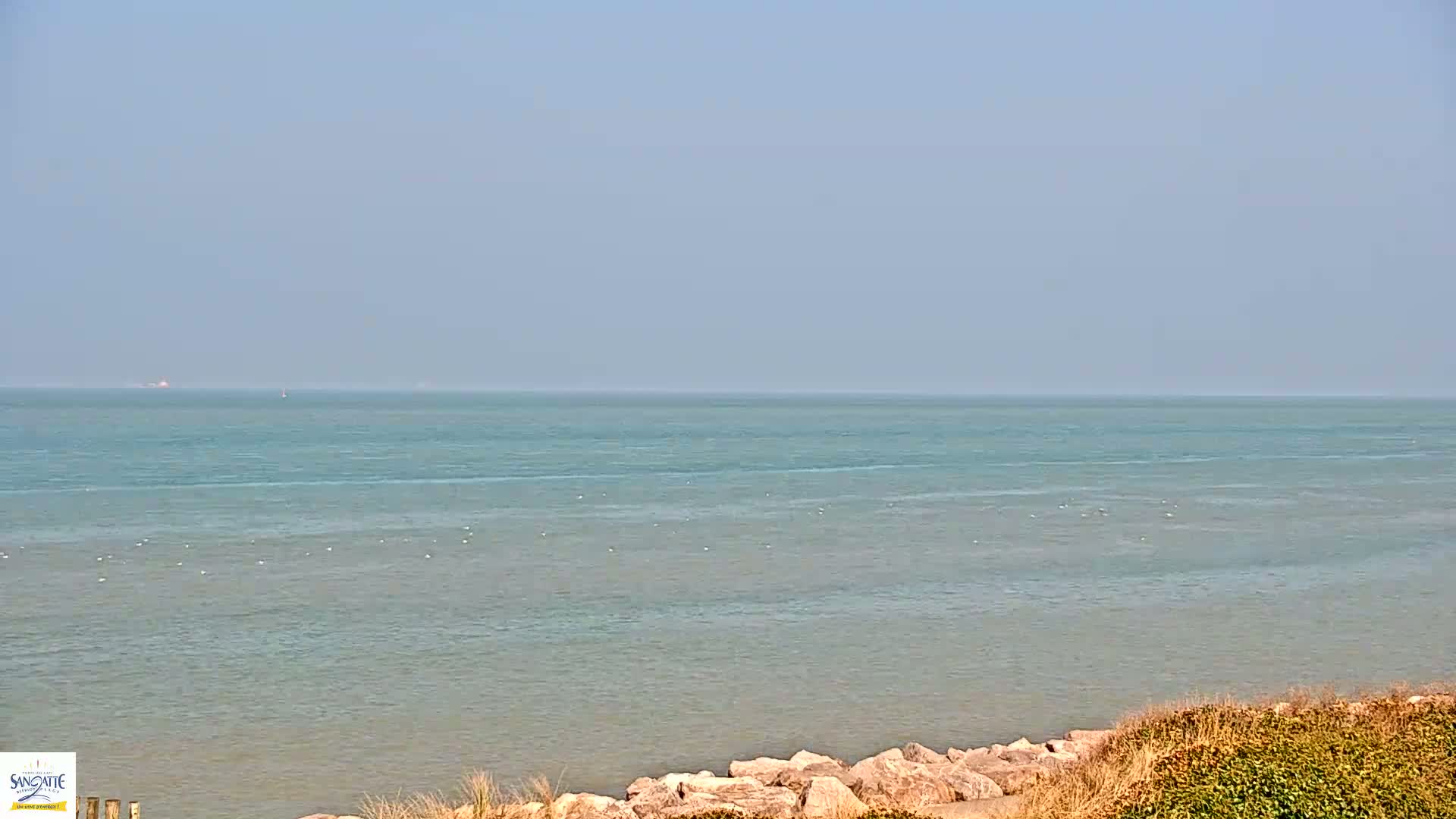 A calm, light-blue sea stretches to a hazy horizon from a rocky shoreline with sparse, low-lying vegetation.