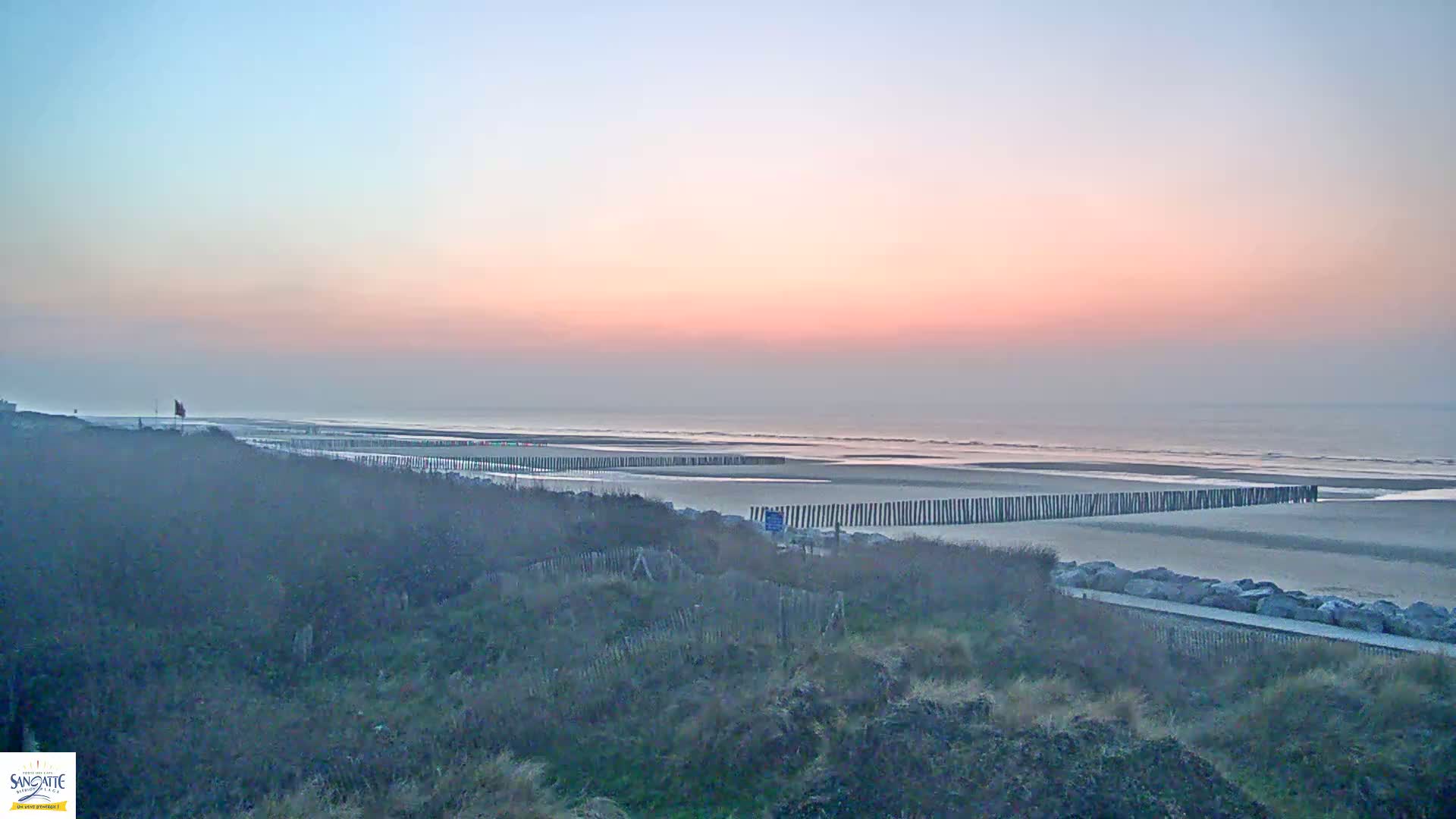 A calm ocean with a pinkish sunrise is viewed from a dune overlooking a sandy beach protected by a long row of wooden posts.