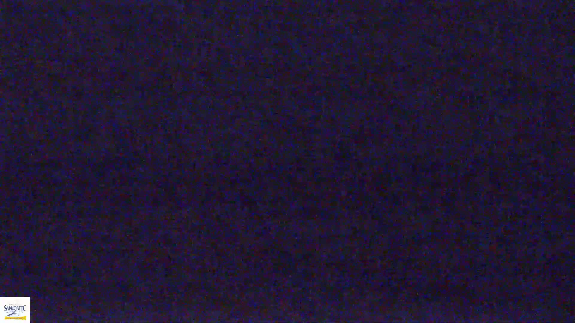 A dark blue, textured surface fills the entire image.