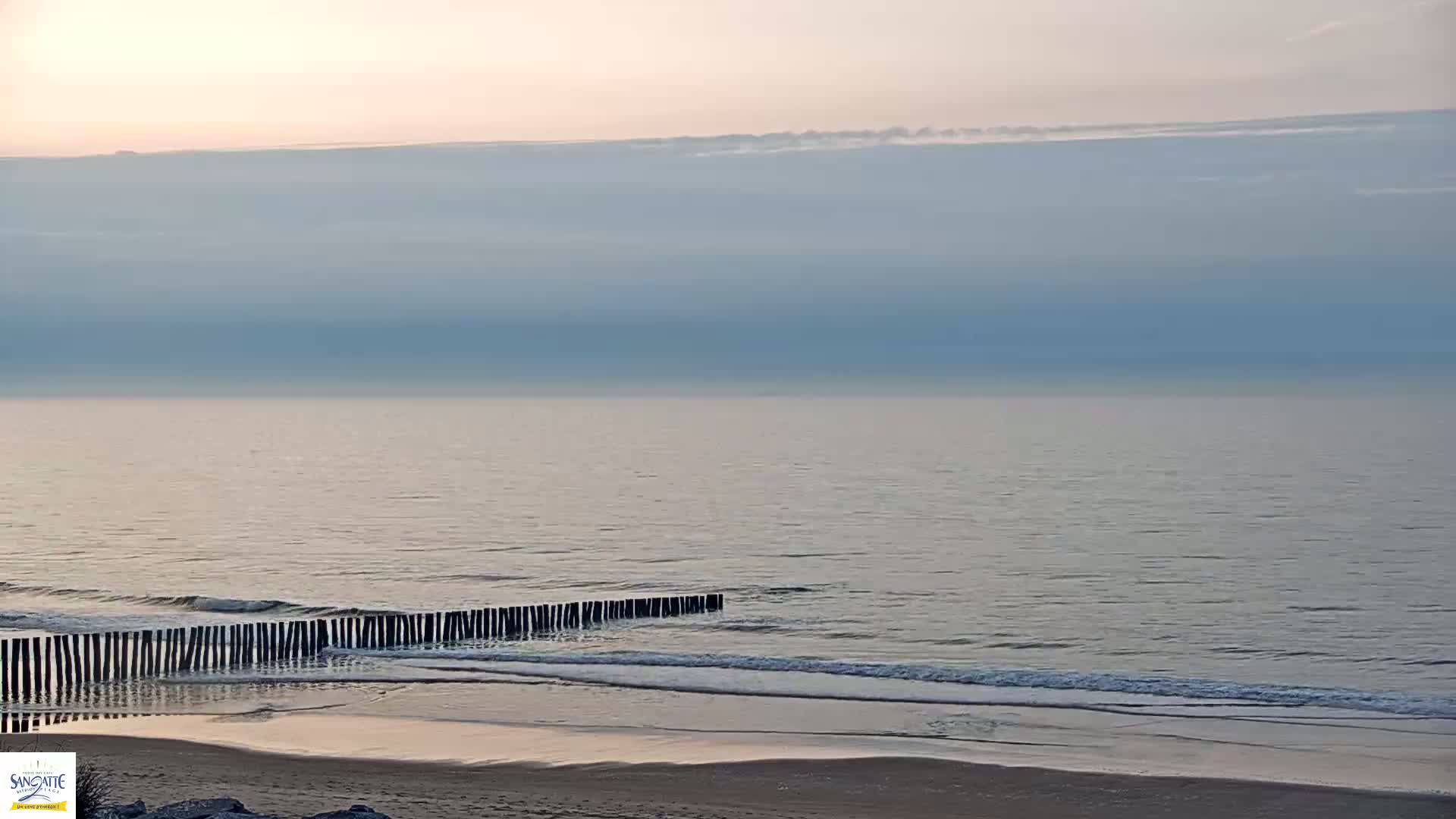 A calm sea with a pale sky at sunrise meets a sandy beach protected by a row of wooden posts.