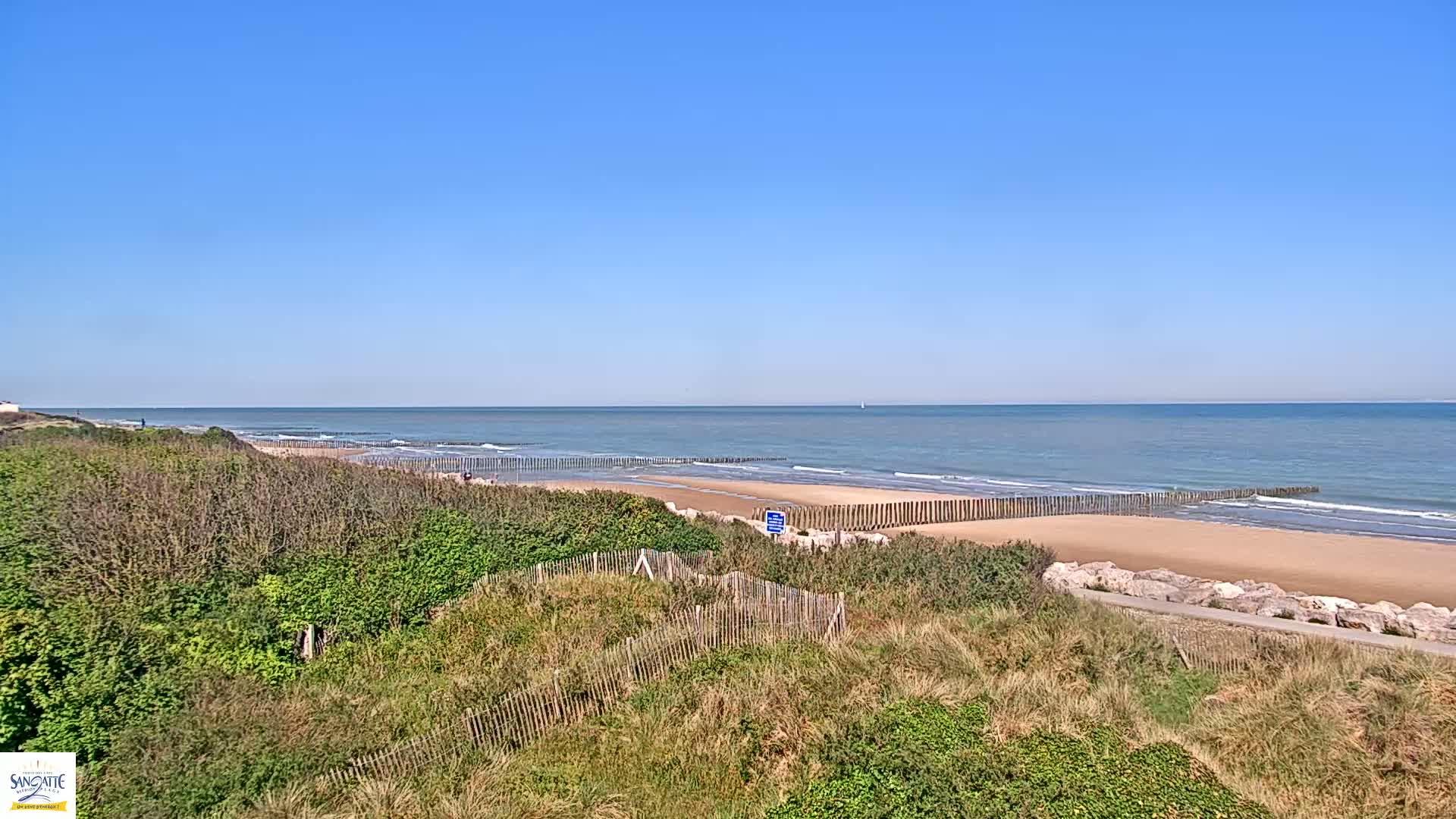 A sandy beach with gentle waves under a clear blue sky is viewed from atop a dune covered in low-lying vegetation.