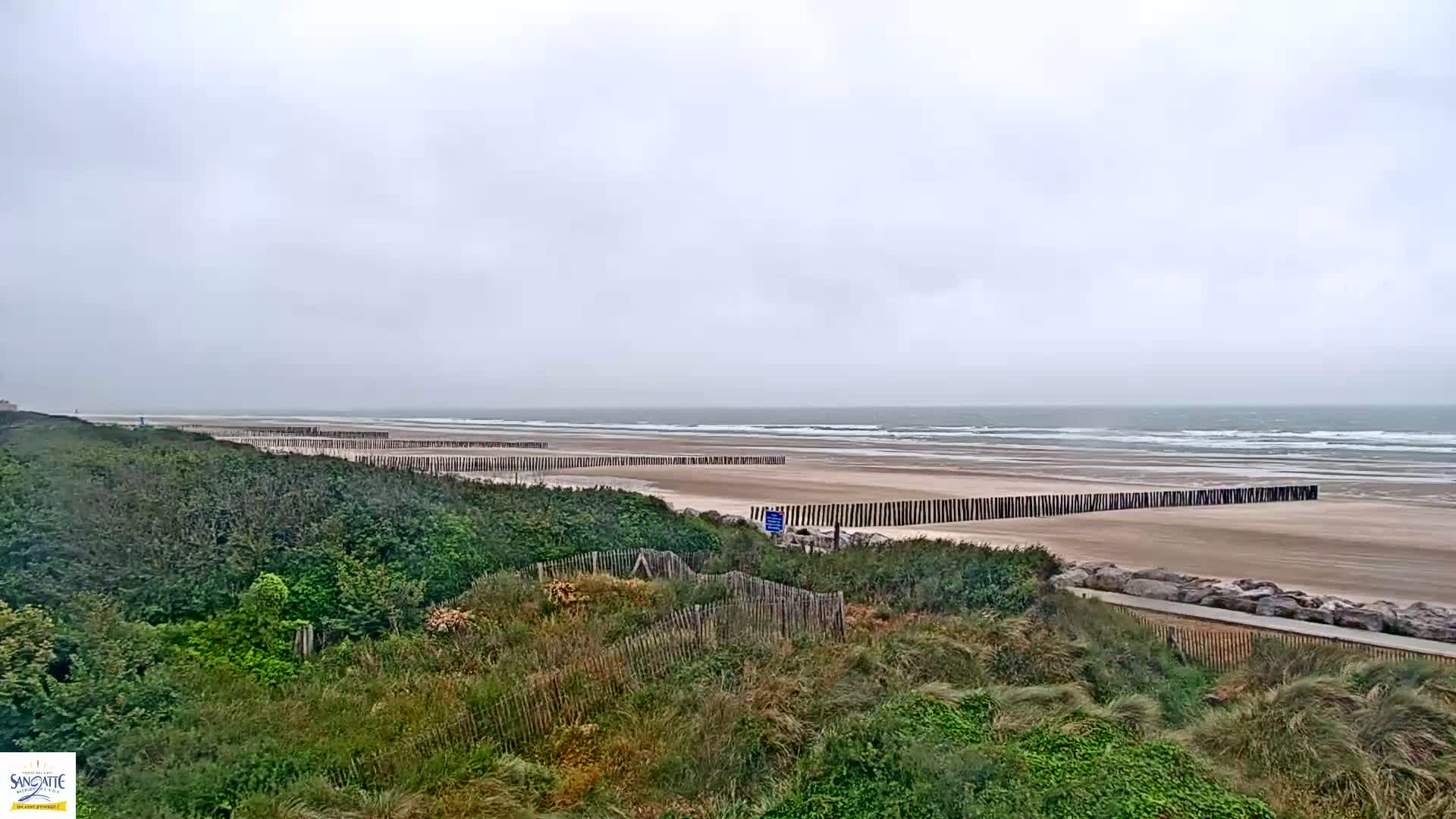 A sandy beach with a long line of wooden posts and a calm, overcast sky is visible from behind a line of dunes covered with green vegetation.