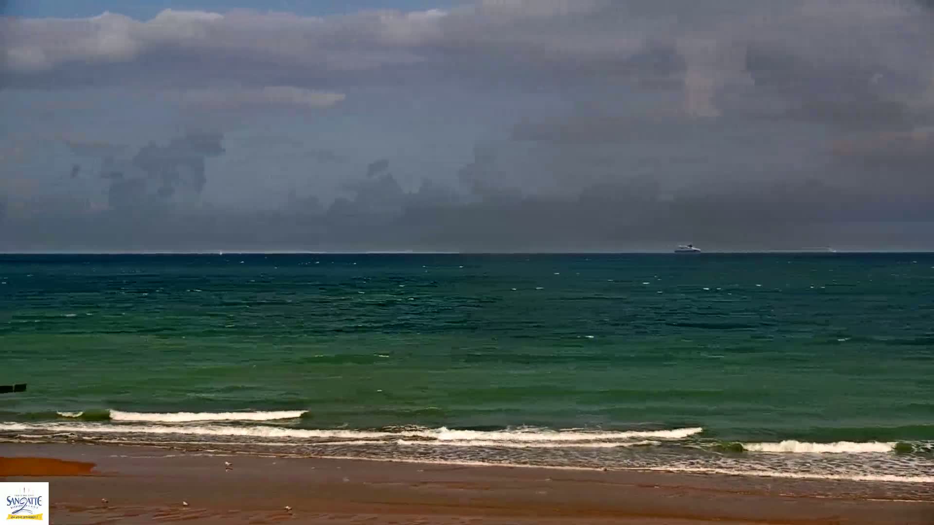 A large body of dark green water with small waves laps a sandy beach under a cloudy sky, and a ship is visible on the horizon.