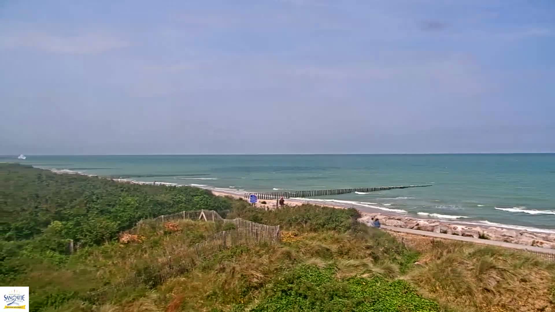 A sandy beach with a calm, teal ocean and a line of wooden breakwaters is viewed from atop a grassy dune on a mostly clear day.