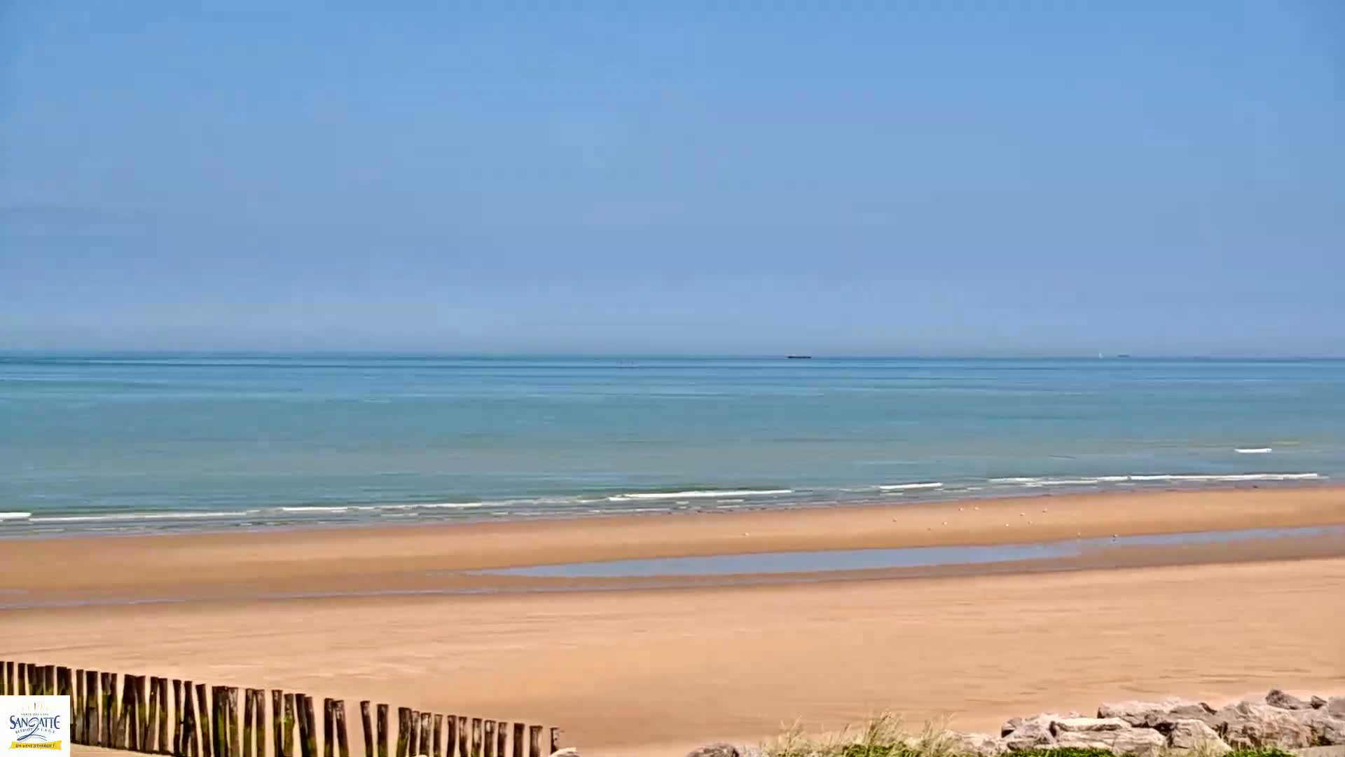A sandy beach stretches to a calm, light-blue ocean under a clear, sunny sky.