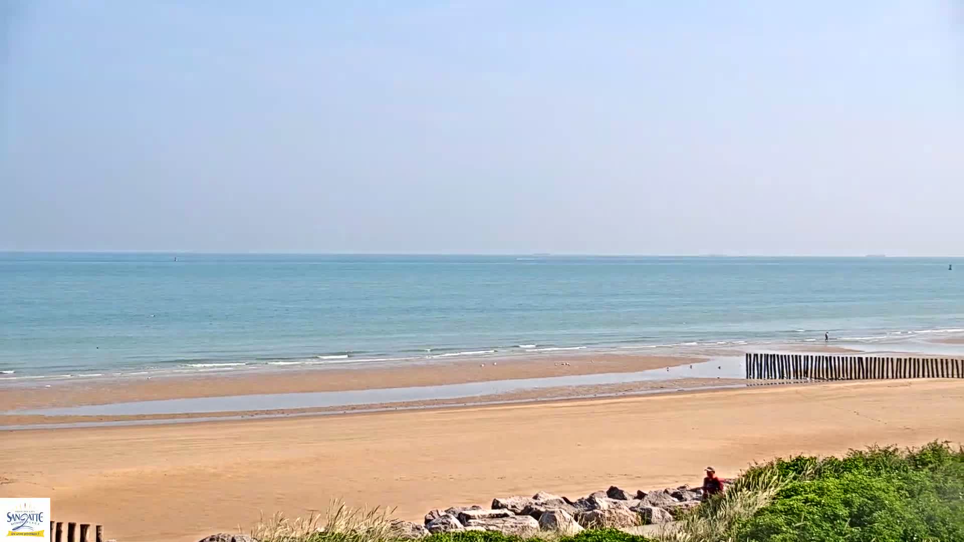 A sandy beach stretches to a calm, light-blue ocean under a clear sky.