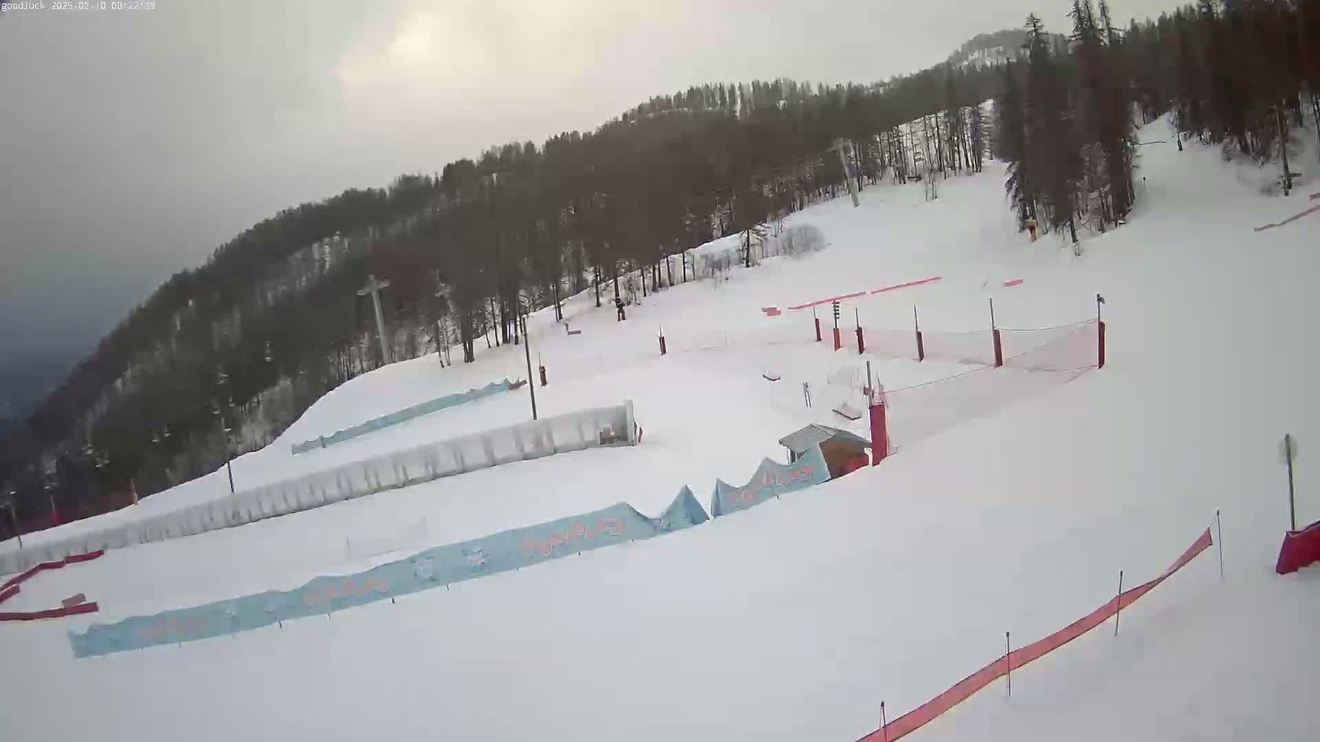 A snow-covered ski slope with trees in the background under an overcast sky.