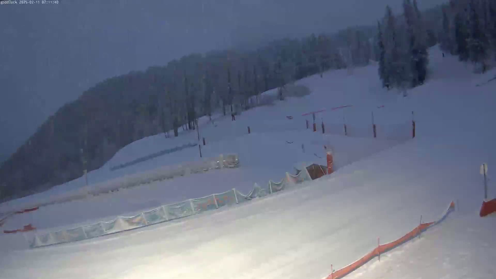 A snow-covered ski slope with sparsely populated trees in the background under a dark, snowy sky.