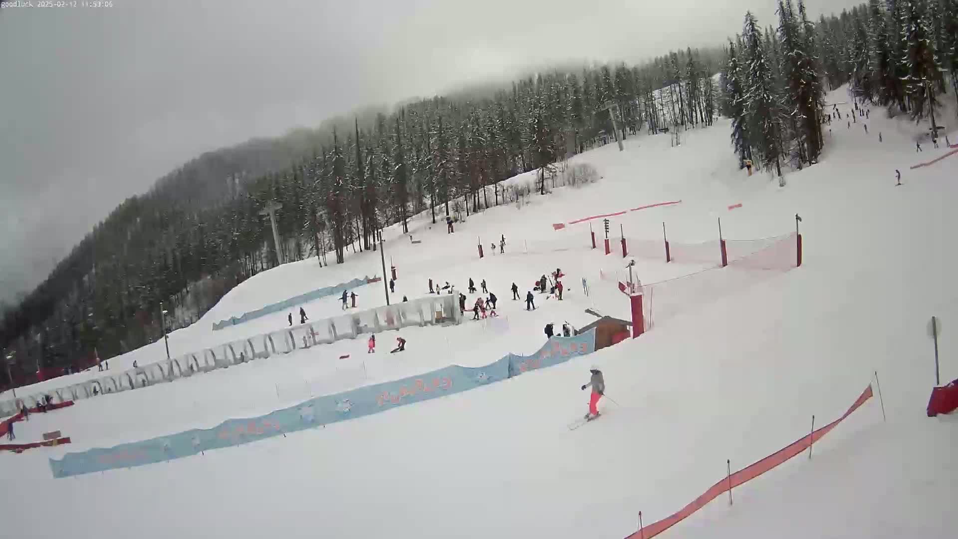 A snowy ski slope with several skiers and snowboarders, under an overcast sky, is surrounded by a snow-covered forest.