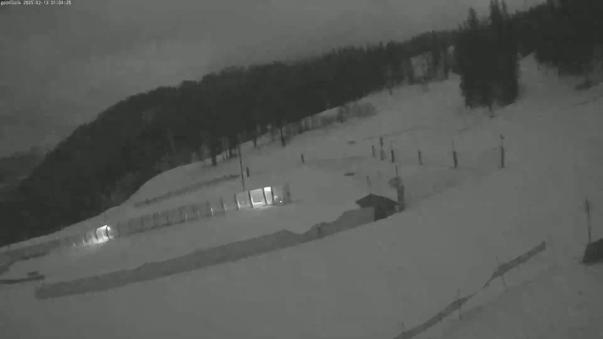 A nighttime, snow-covered landscape shows a few structures illuminated by faint lights, surrounded by dark trees under a gray sky.