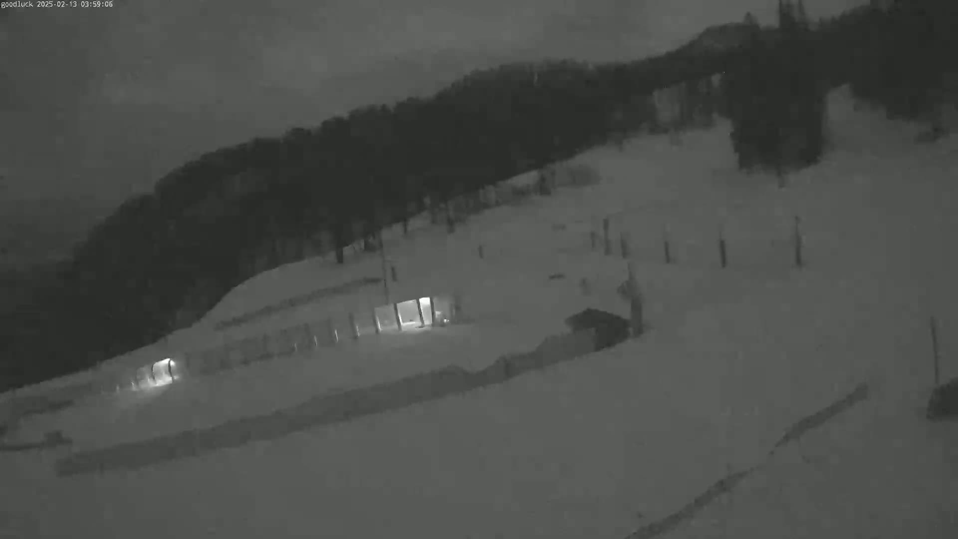 A snow-covered landscape at night is illuminated by lights from a building in the distance, with dark trees in the background.