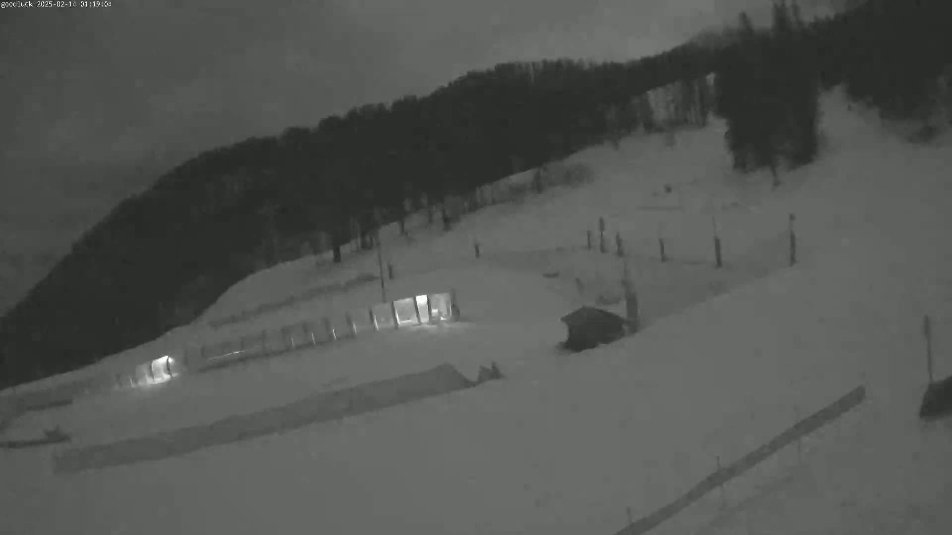 A snow-covered landscape at night, with a line of dark trees in the background and dimly lit structures in the foreground.