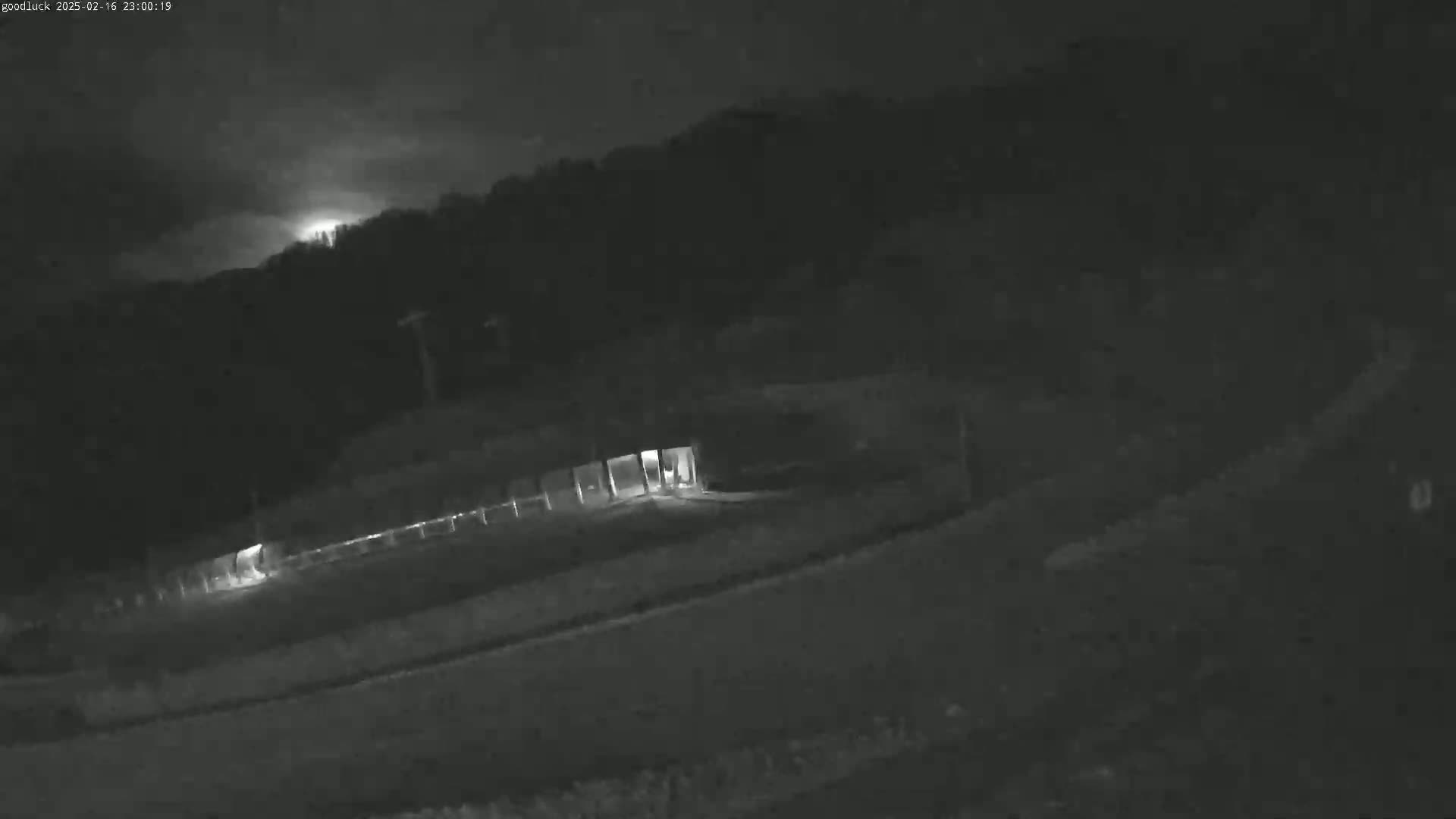 A nighttime, low-light image shows a fenced-in area with a structure and a dimly lit pathway leading to it, set against a dark background of trees under a cloudy sky.