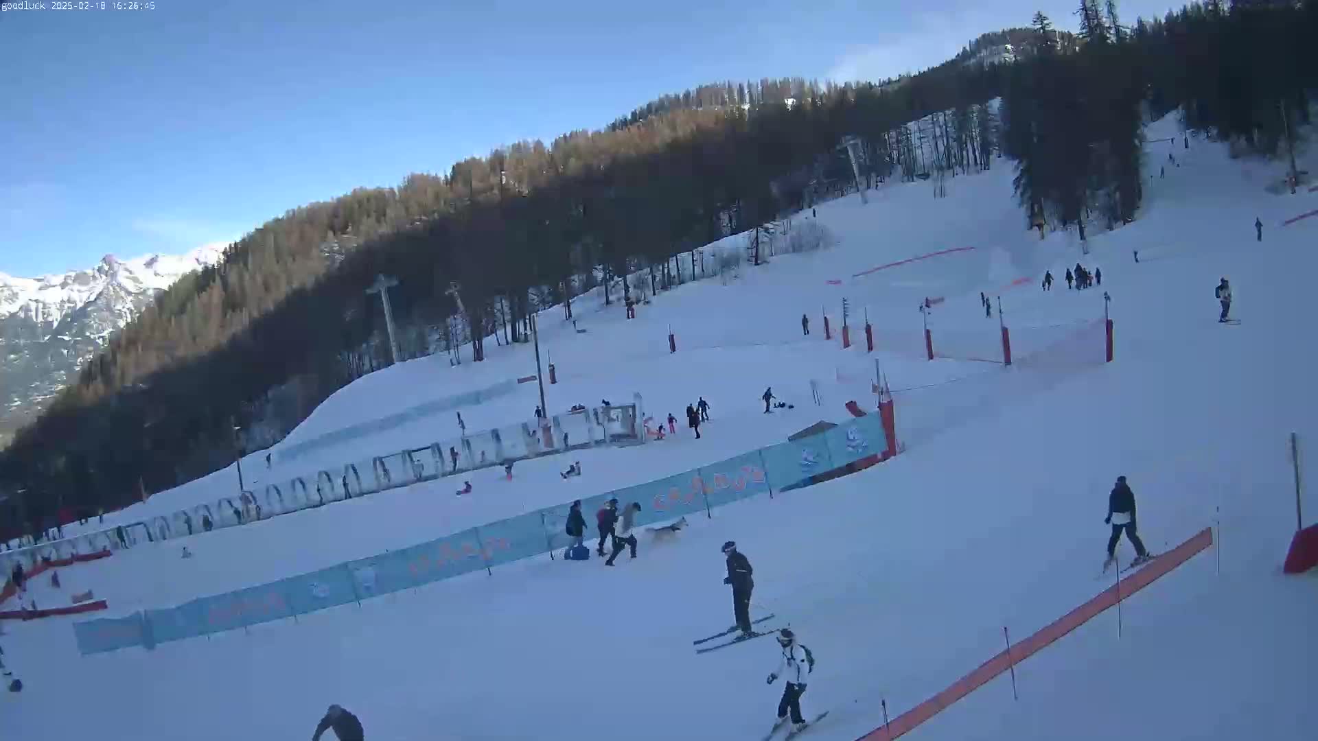 A snowy ski slope with several skiers and snowboarders, under a clear blue sky, is bordered by a wooded hillside and distant mountains.