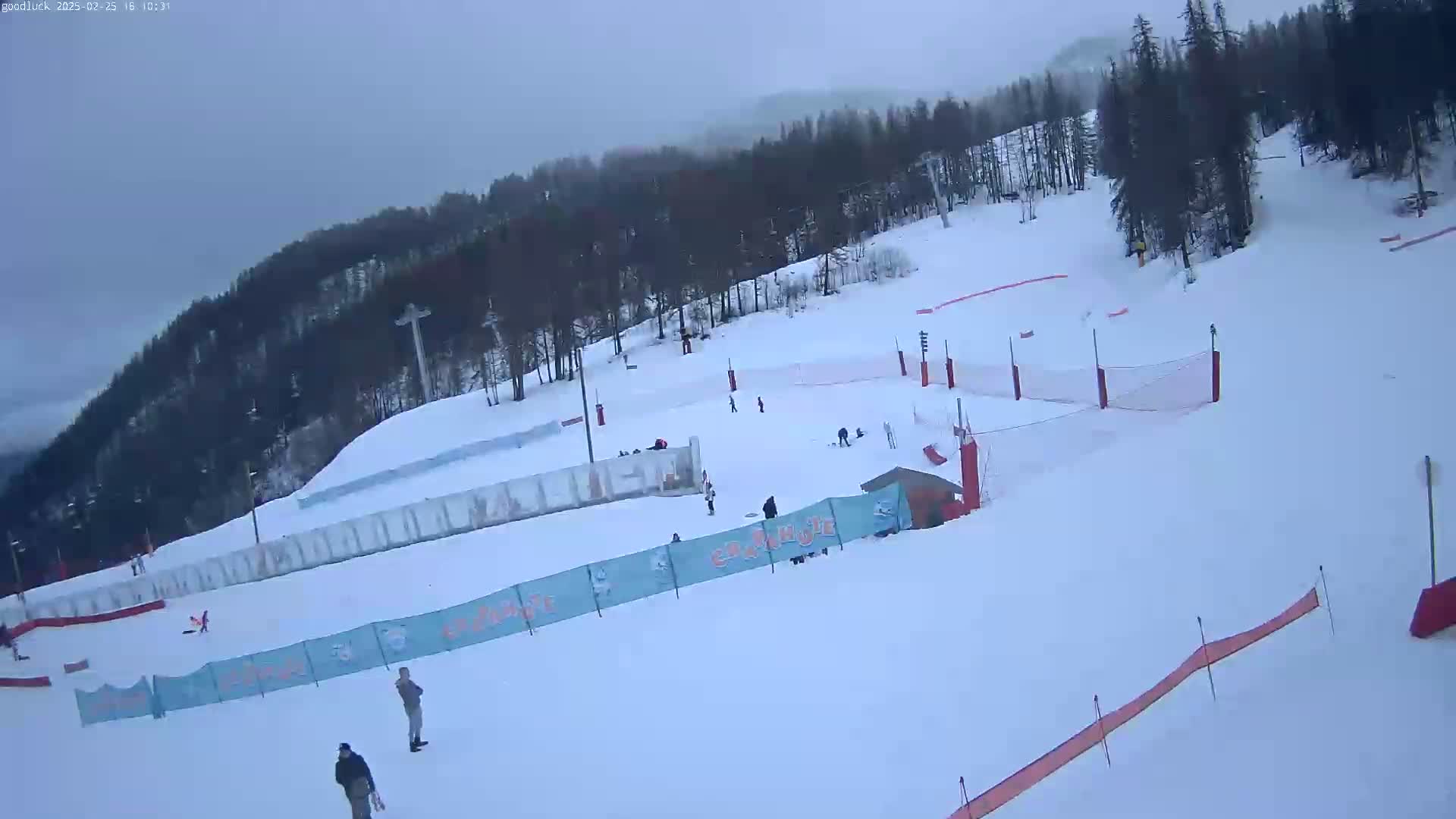 A snowy ski slope with several skiers and snowboarders, surrounded by trees under an overcast sky.